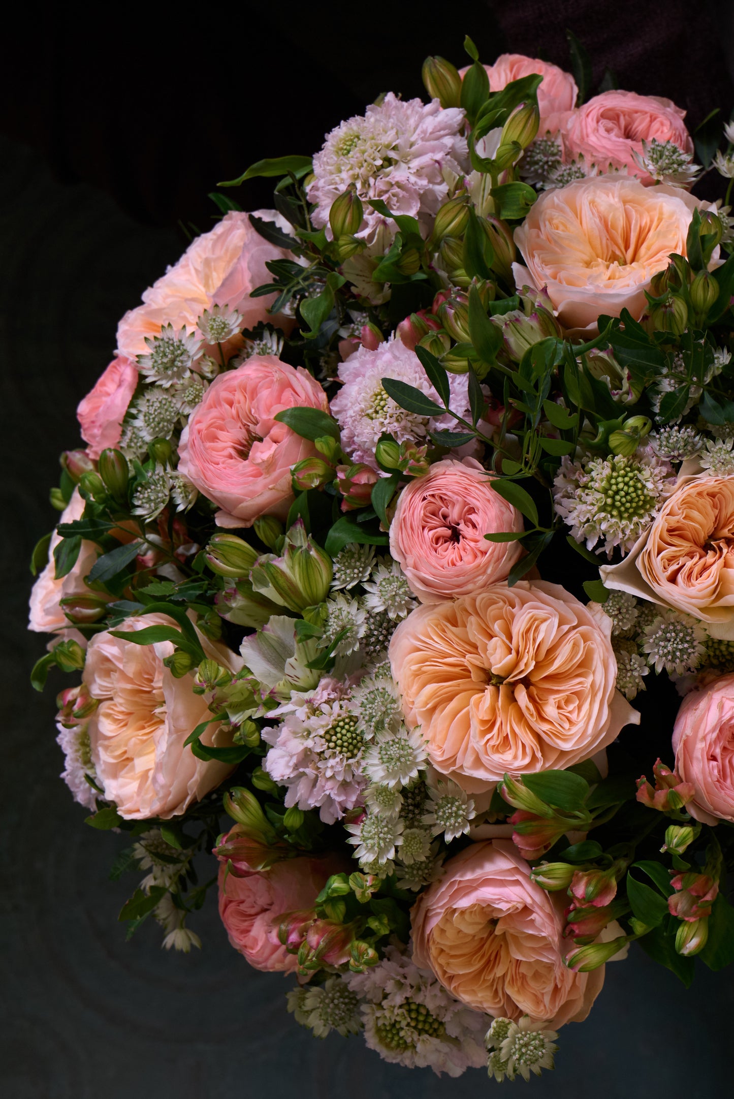 Tender Elegance
