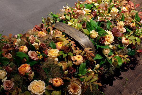 The Language of Flowers: What Emotion Looks Like in Bloom