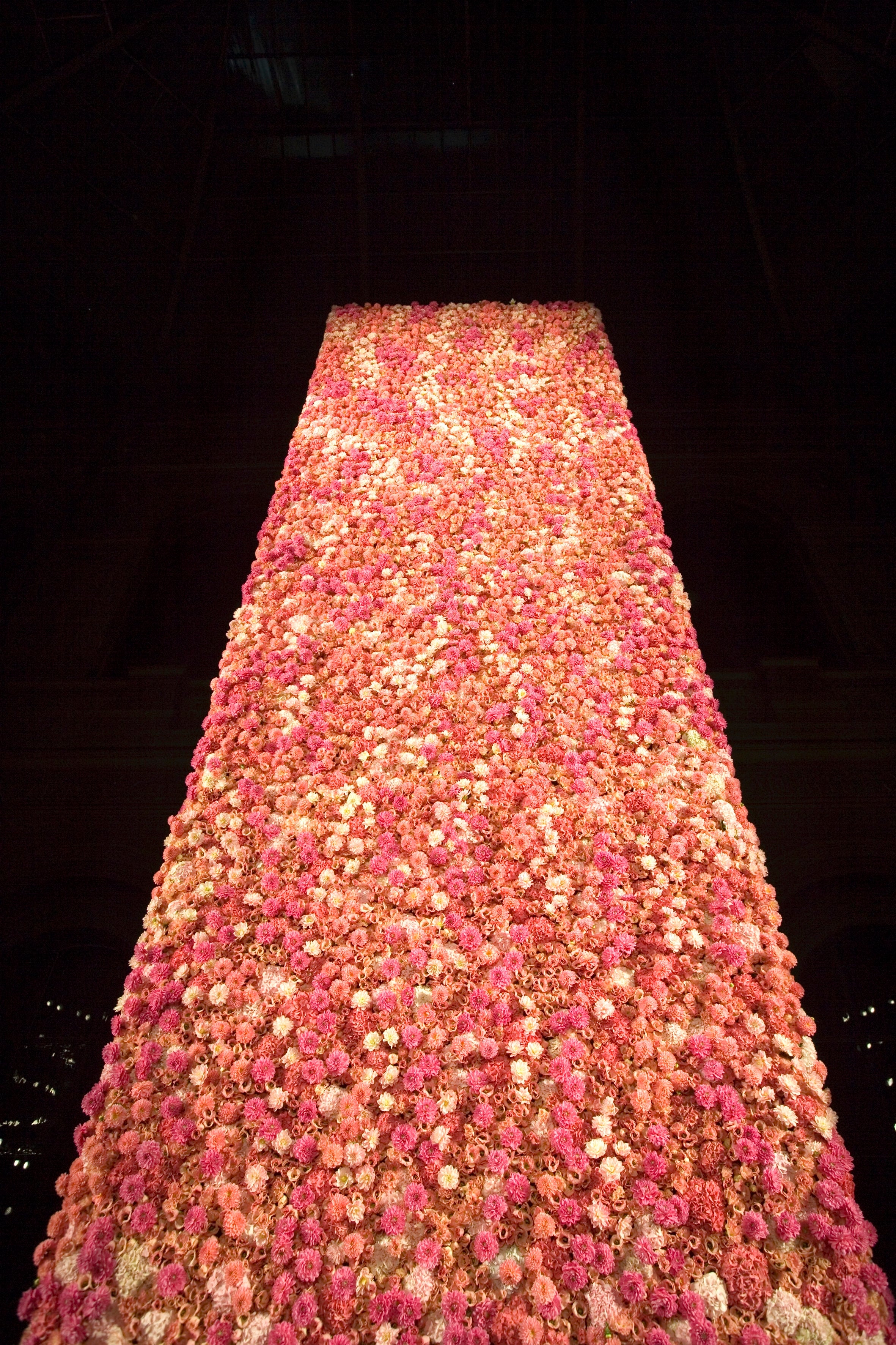 The Runway in Bloom