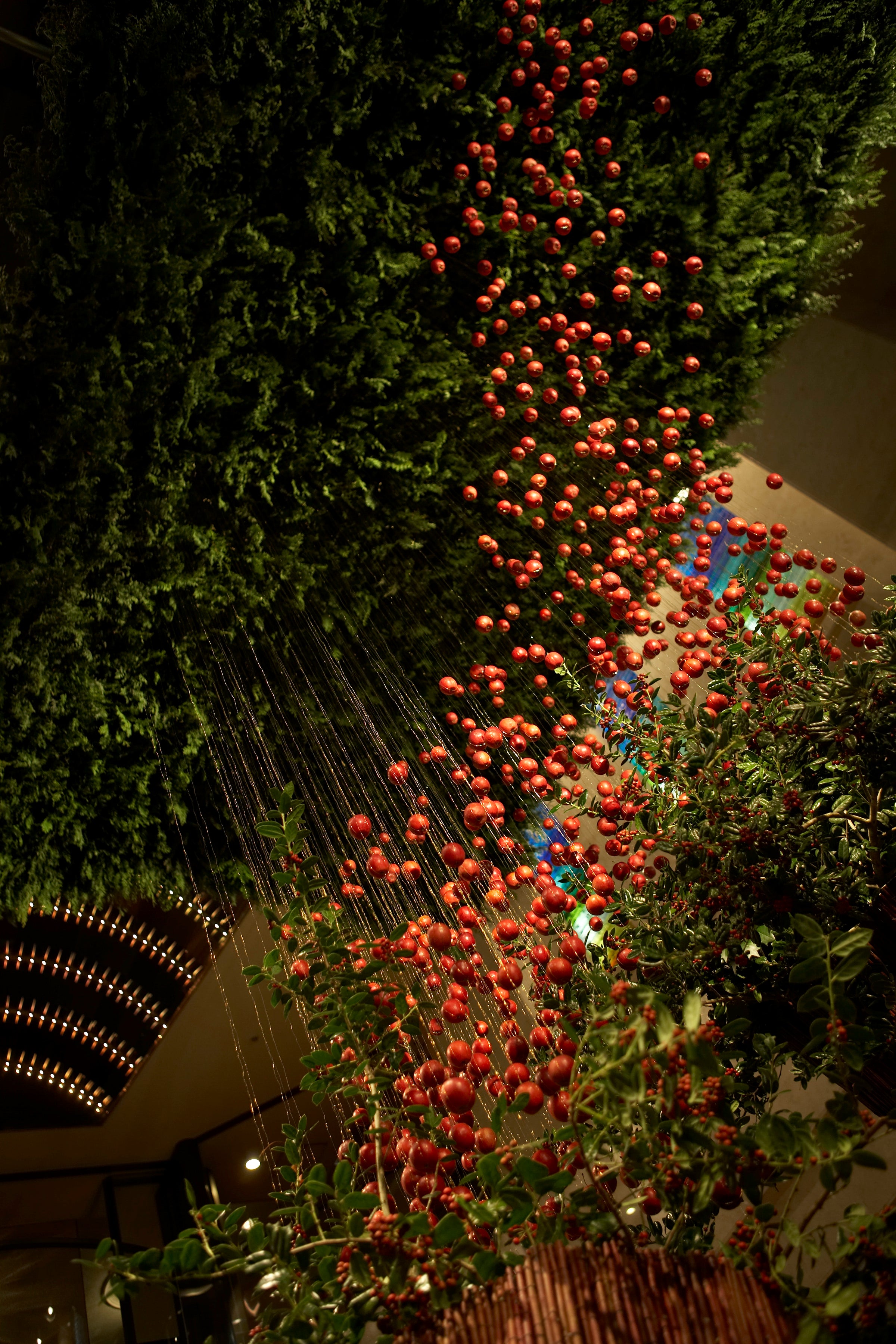 A Harvest of Light