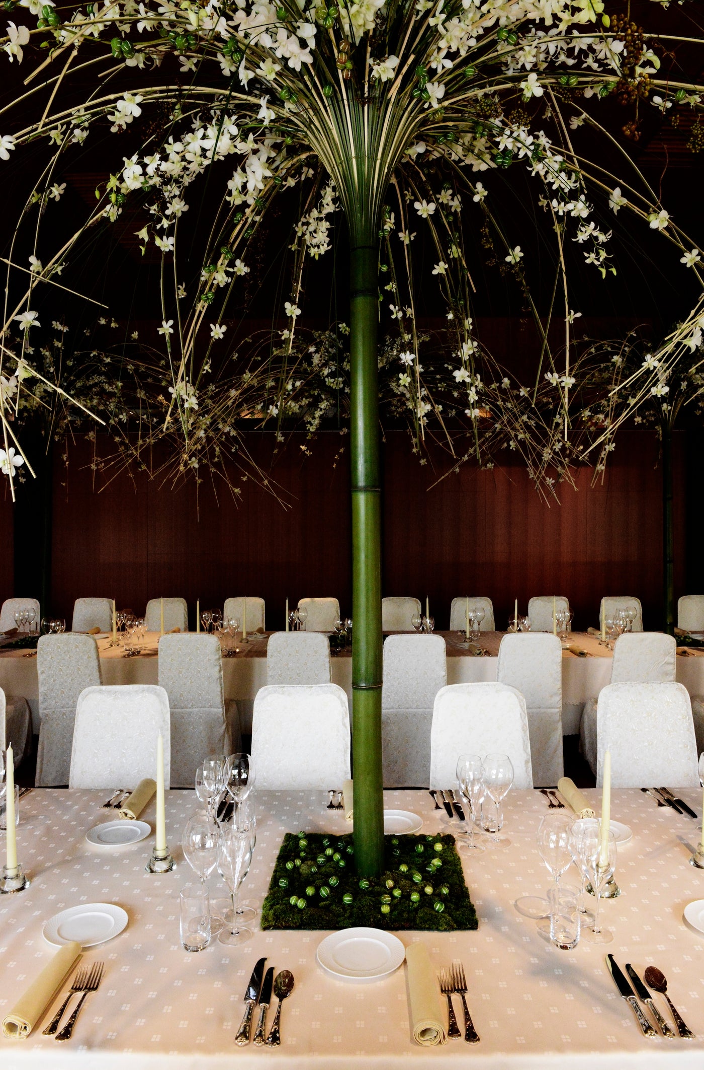 The Art of Effervescence