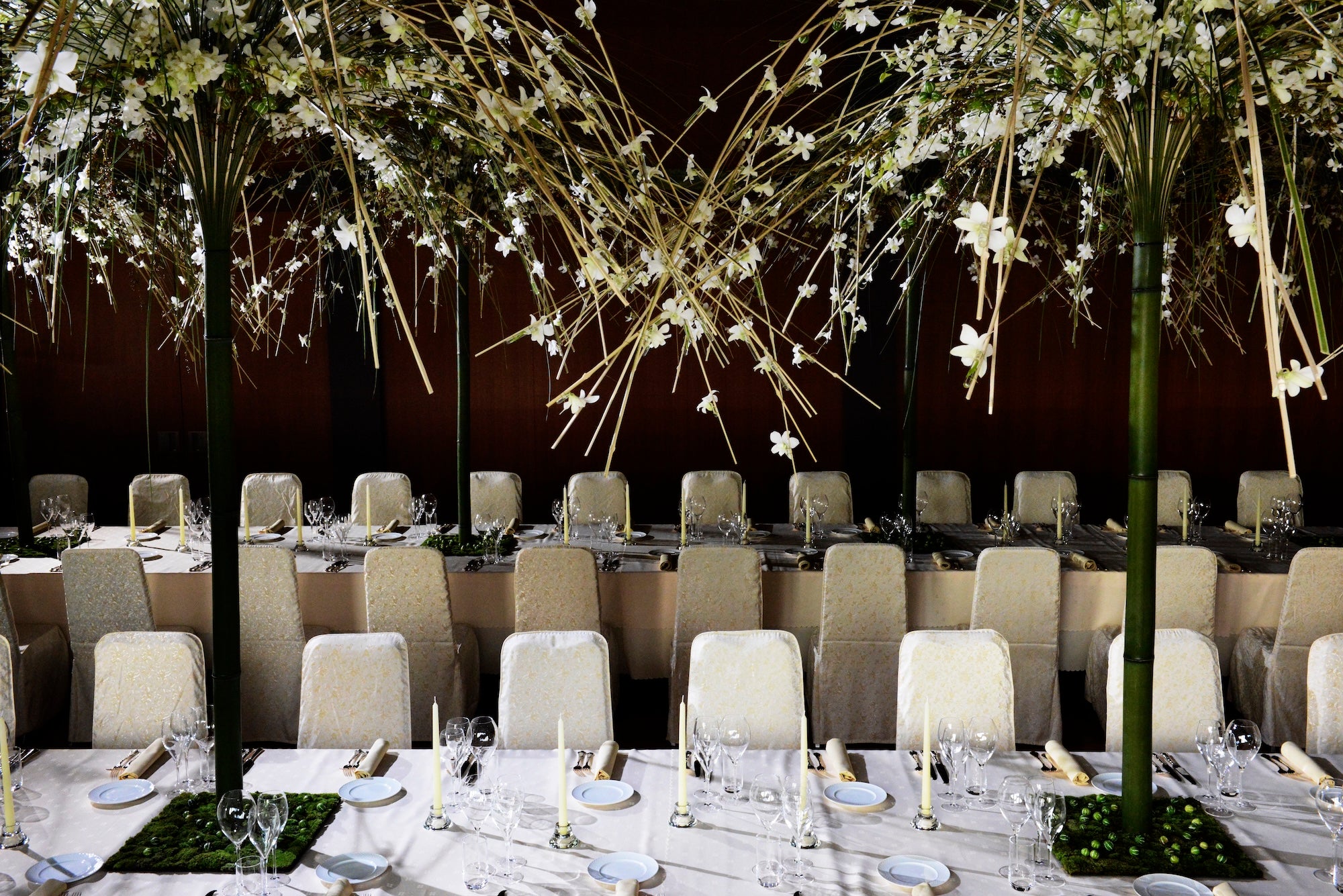 The Art of Effervescence