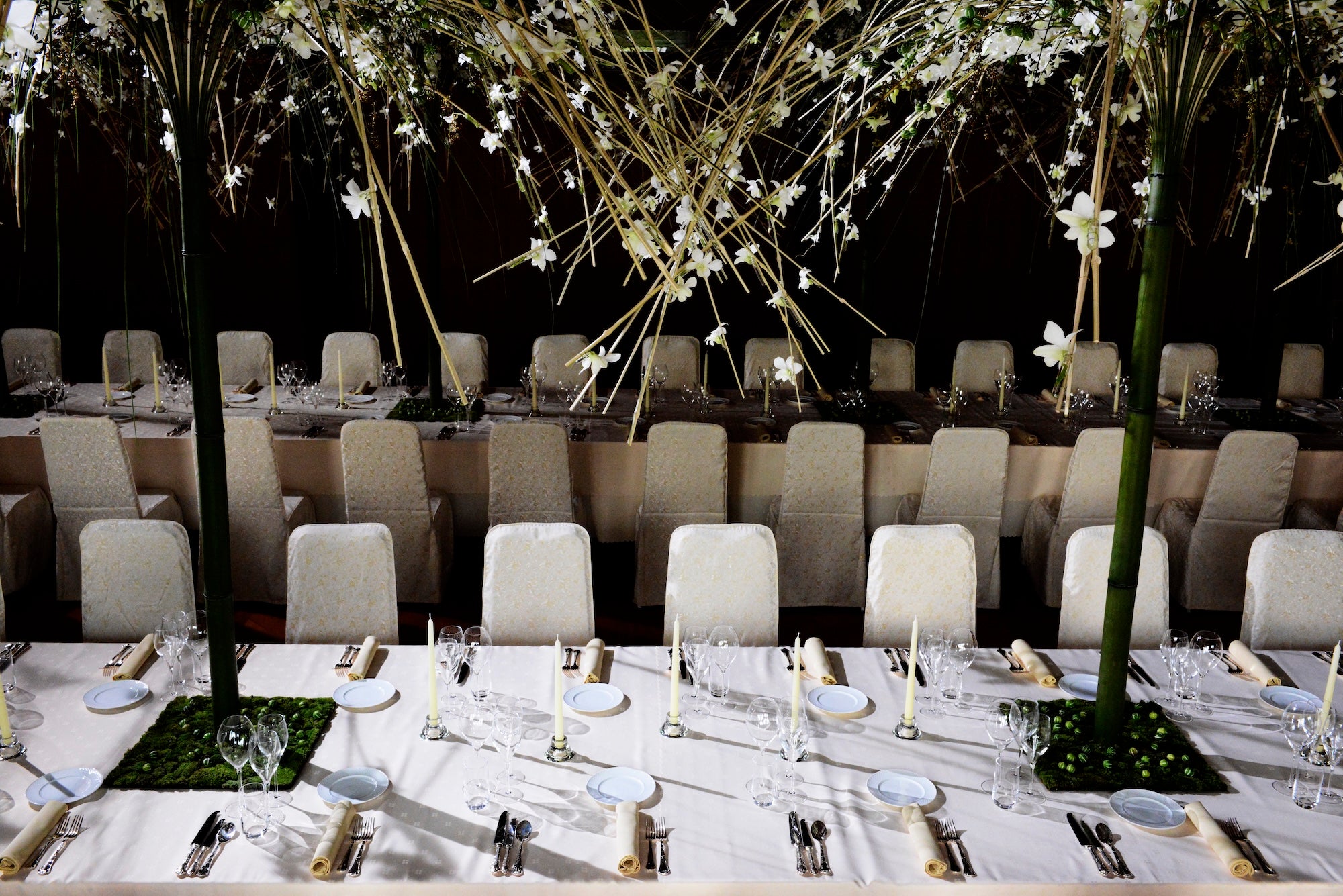 The Art of Effervescence