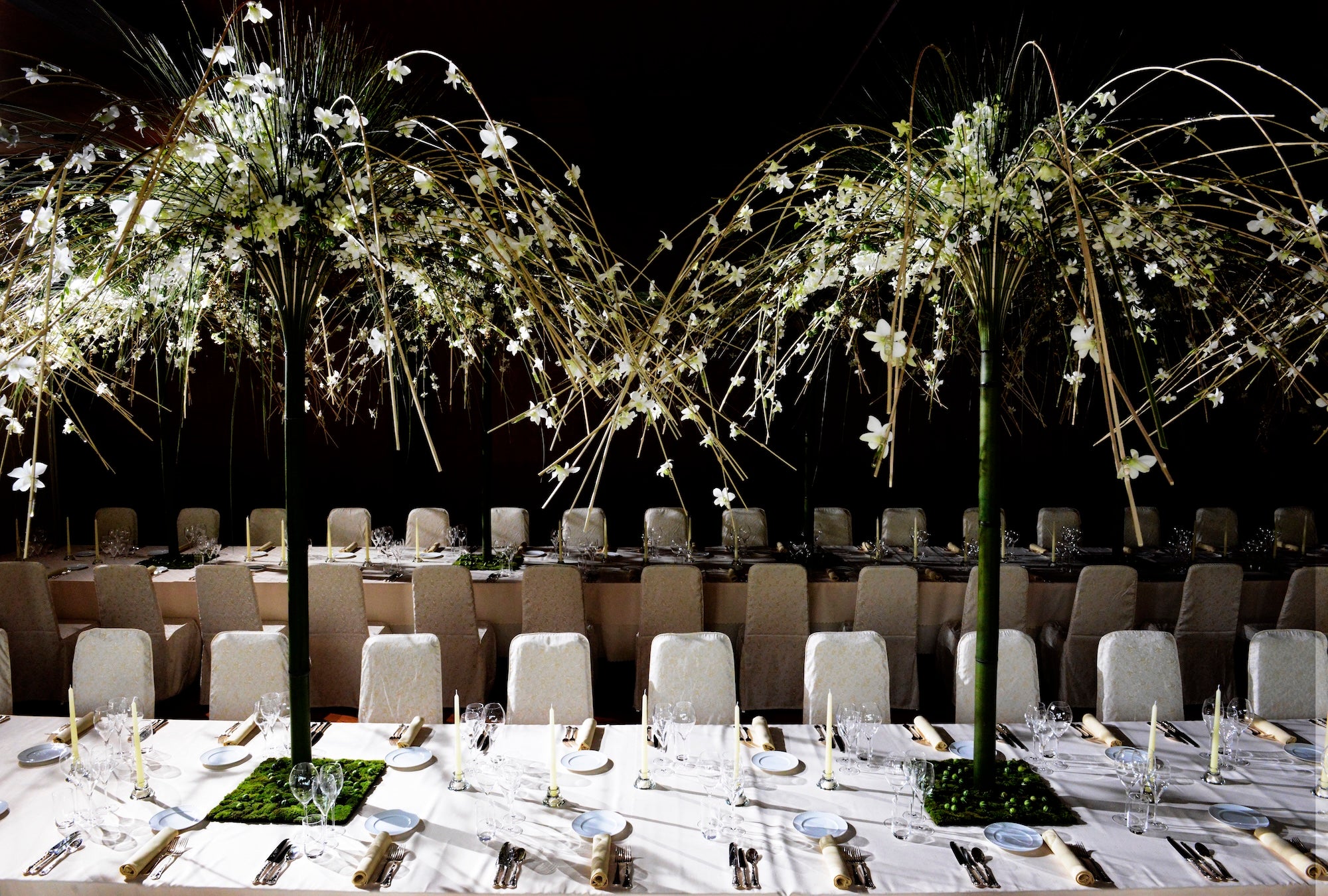 The Art of Effervescence