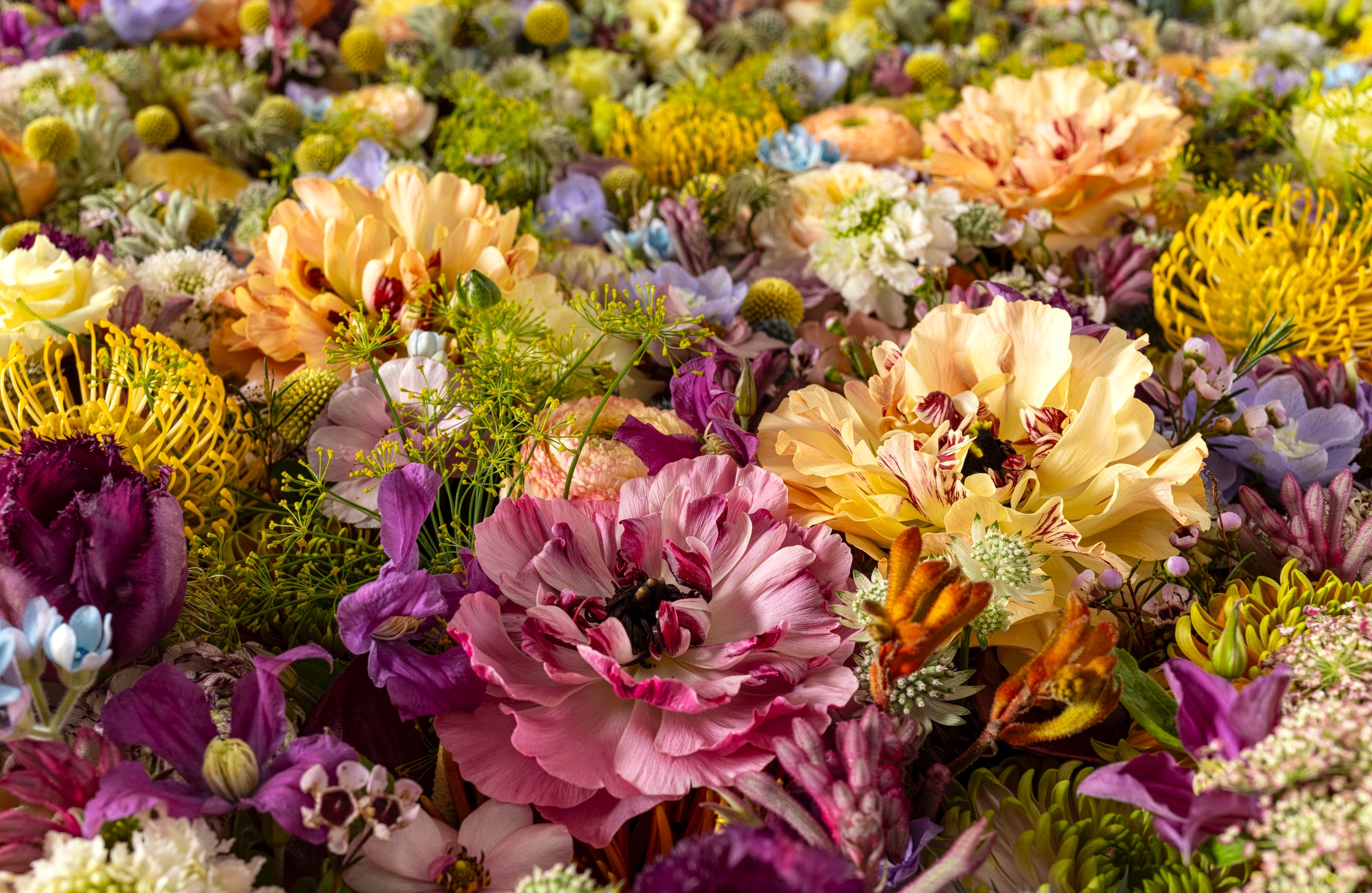 Heritage in Bloom