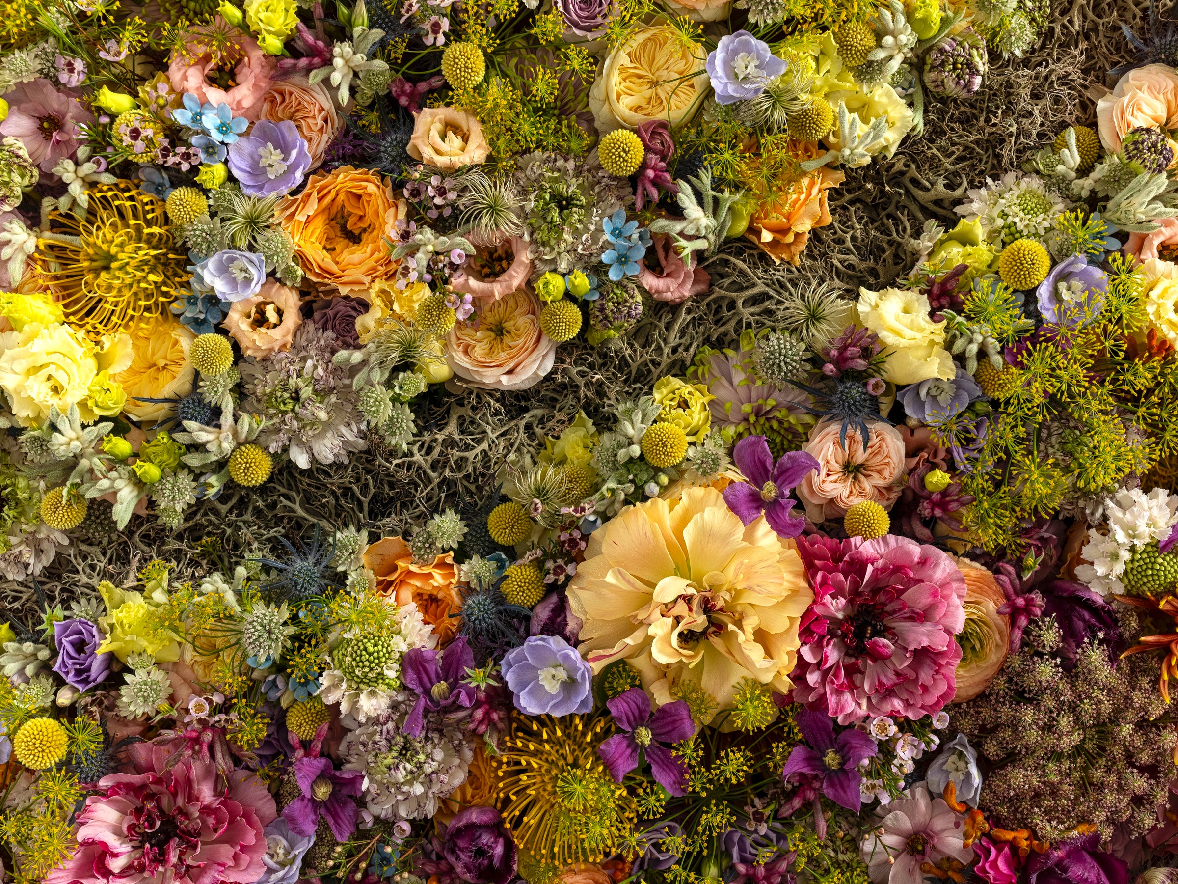 Heritage in Bloom