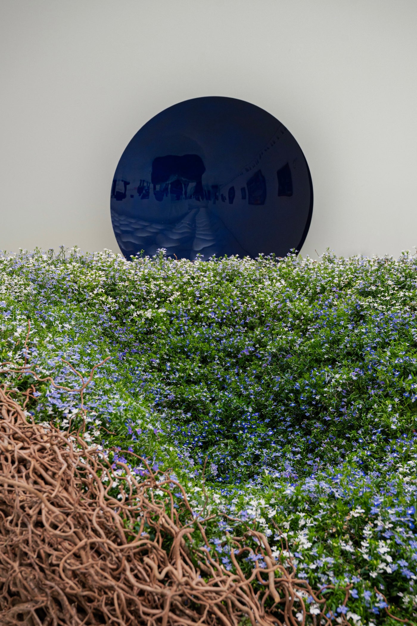 A Living Dialogue in Blue