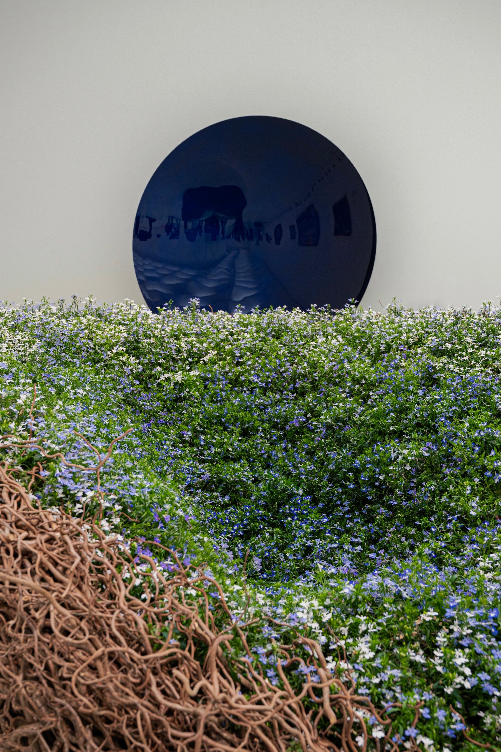 A Living Dialogue in Blue