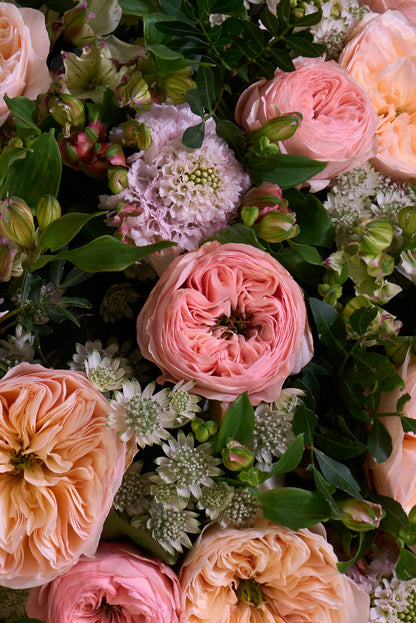 Tender Elegance