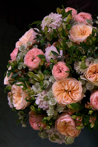 Tender Elegance