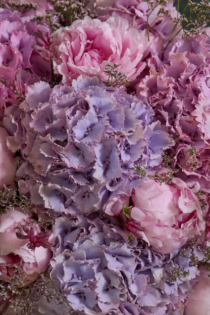 Heavenly Bloom