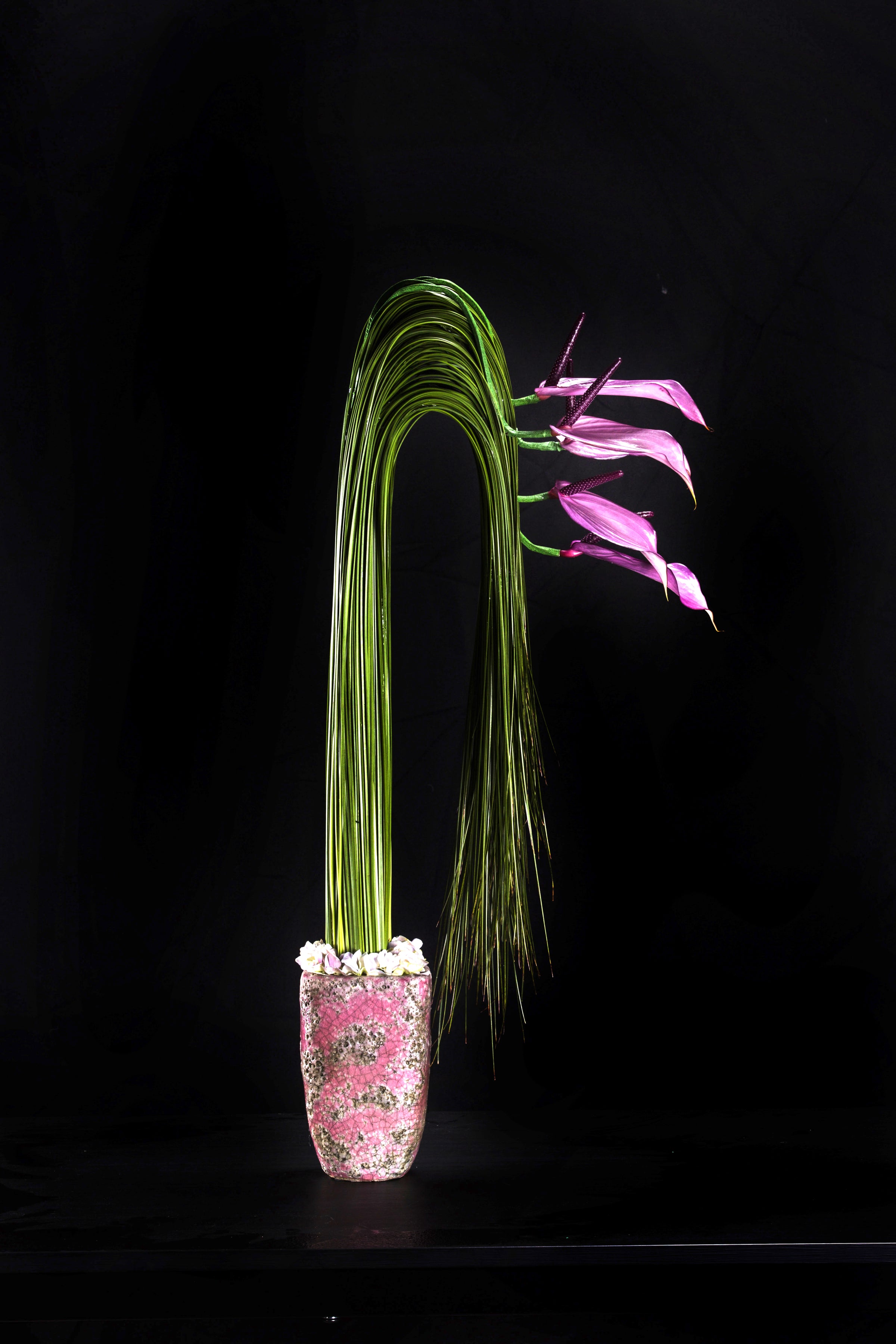 The Architecture of Flowers