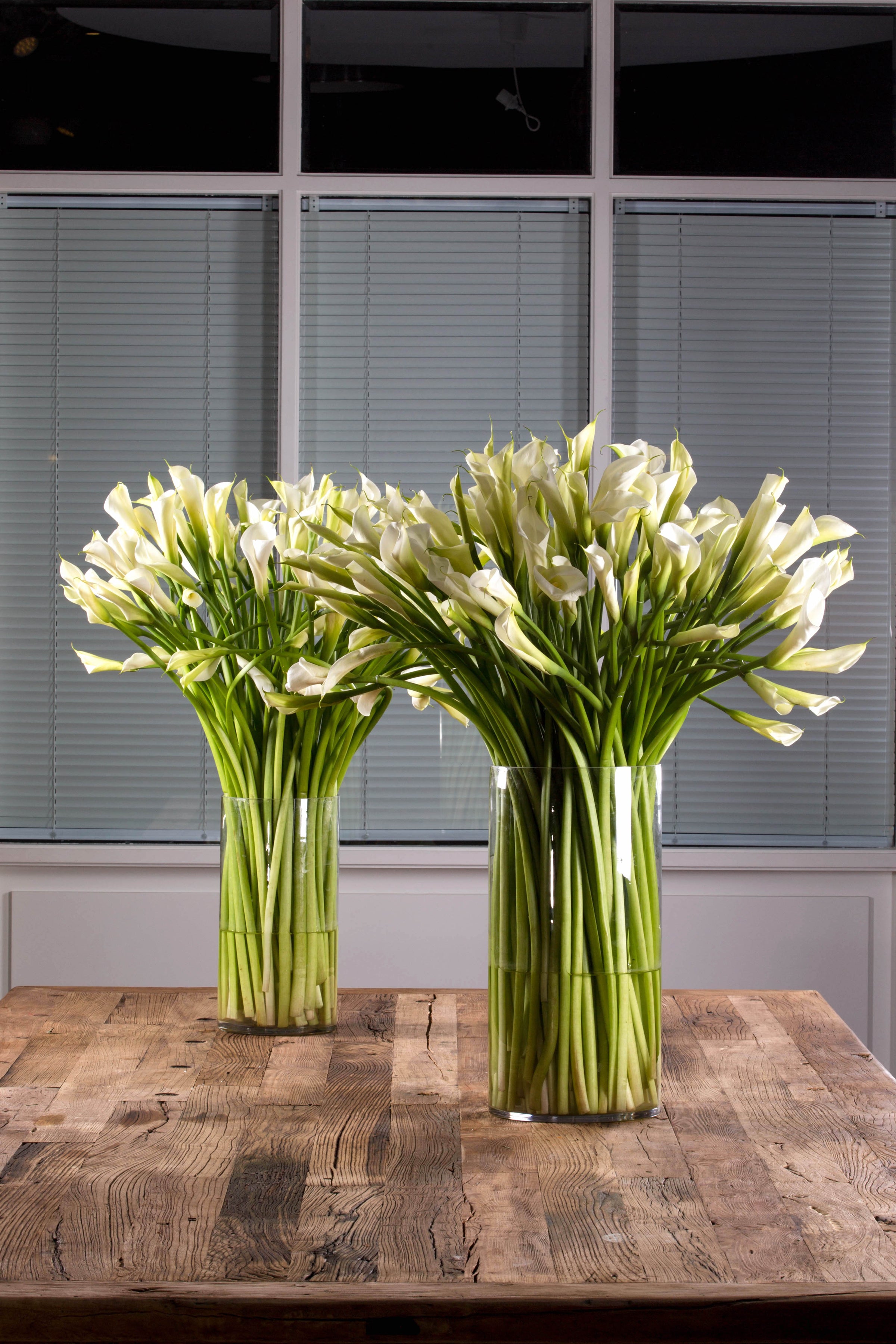 The Architecture of Flowers