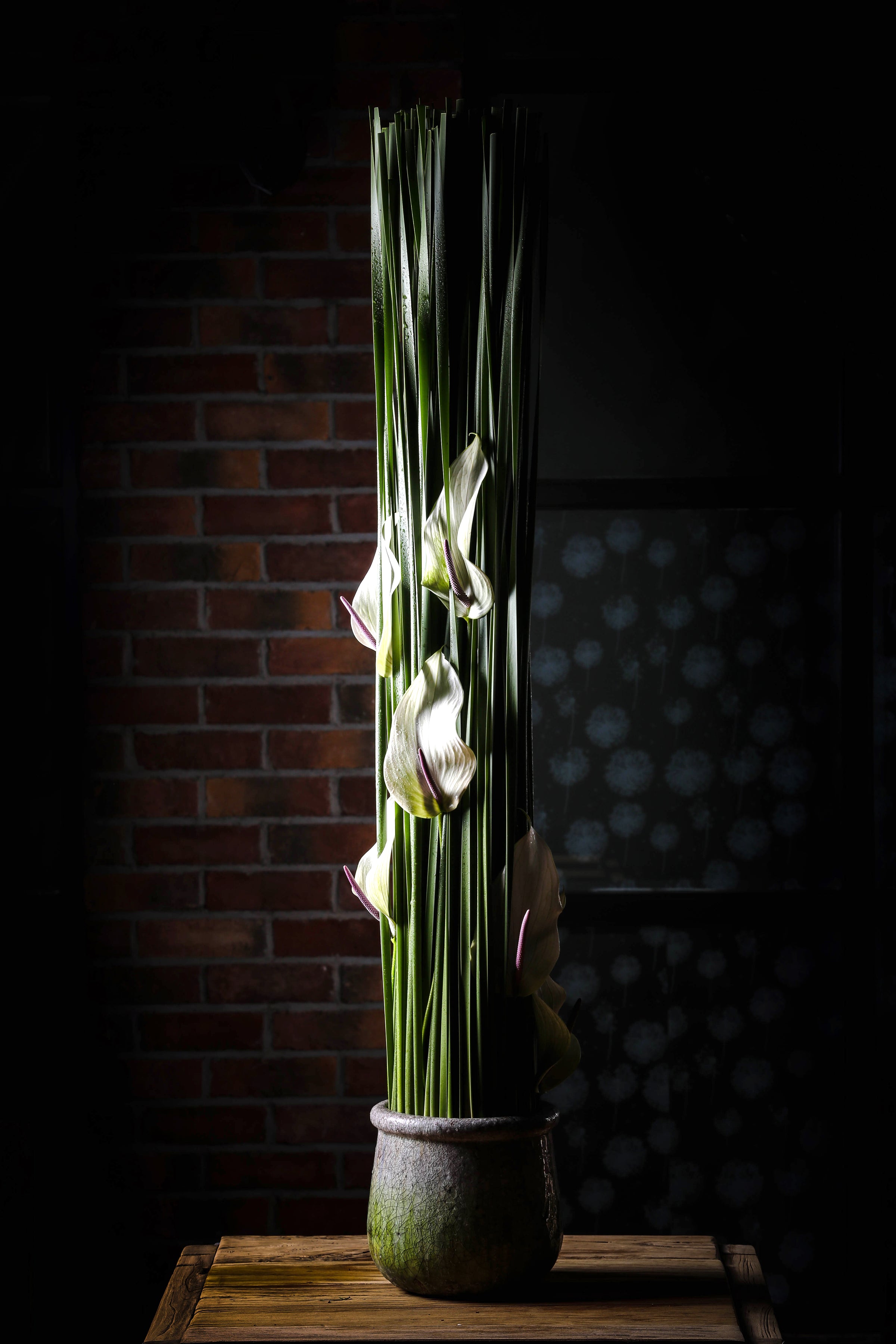 The Architecture of Flowers