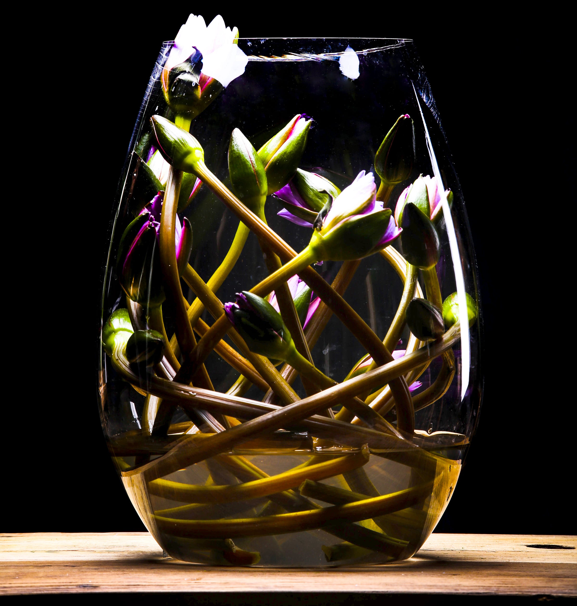 The Architecture of Flowers