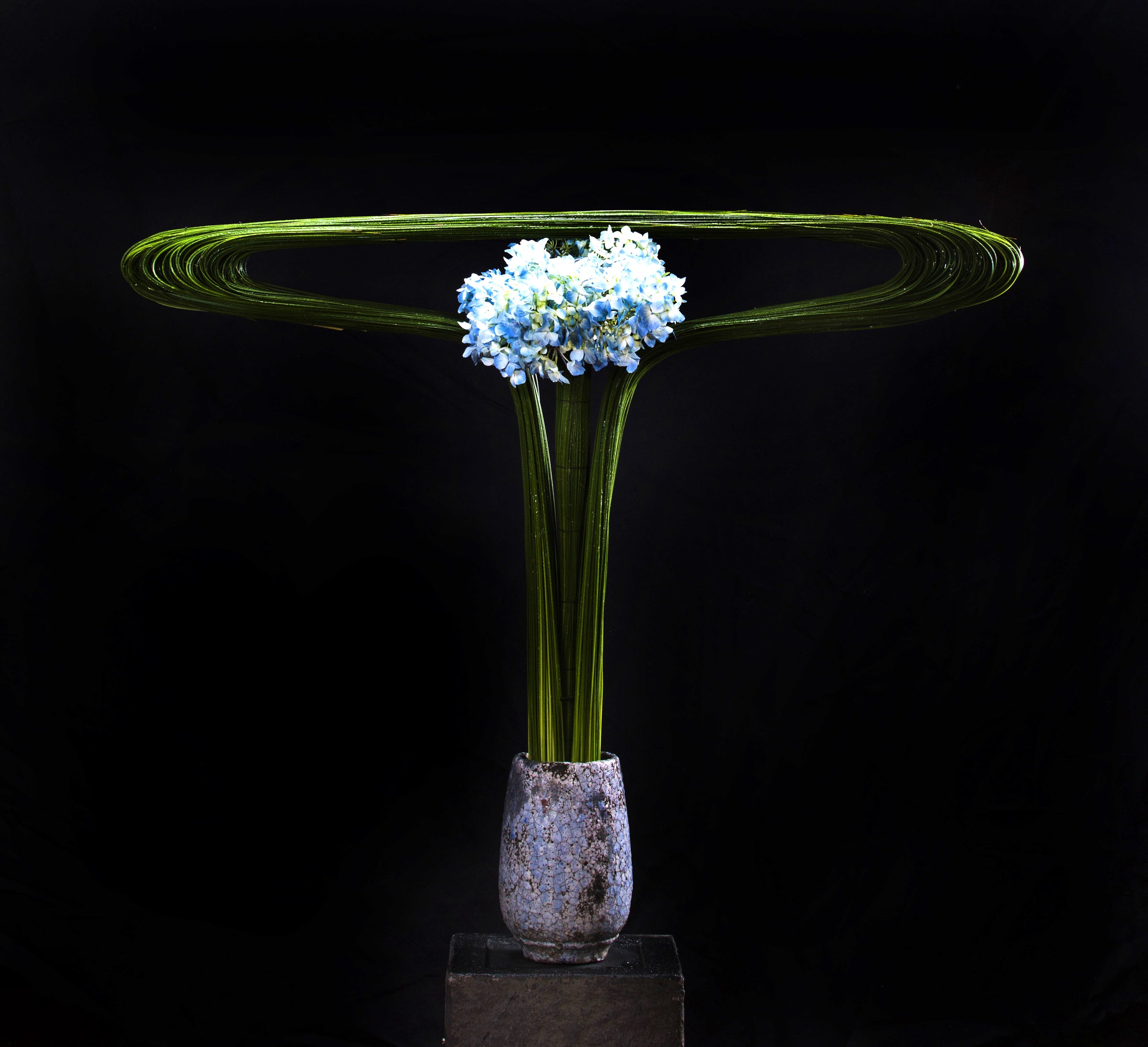 The Architecture of Flowers