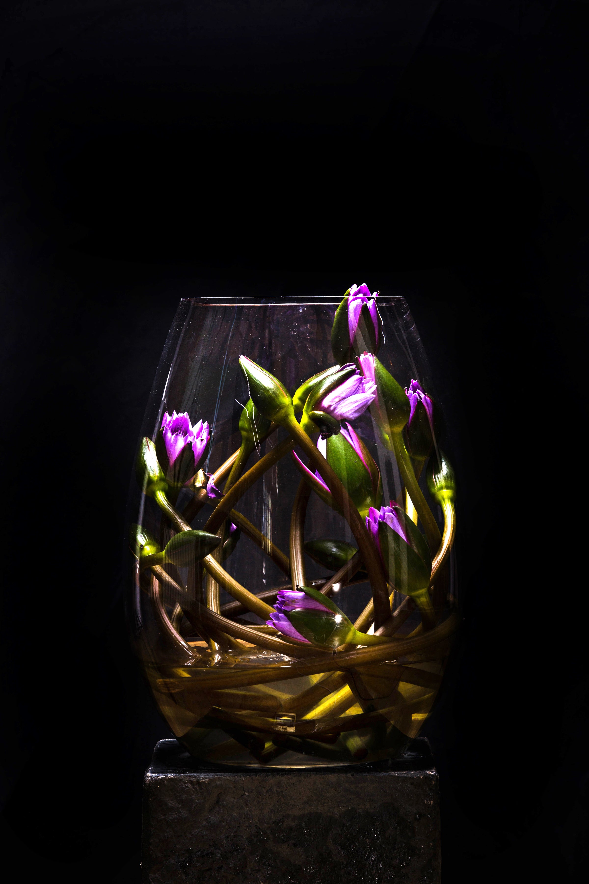 The Architecture of Flowers