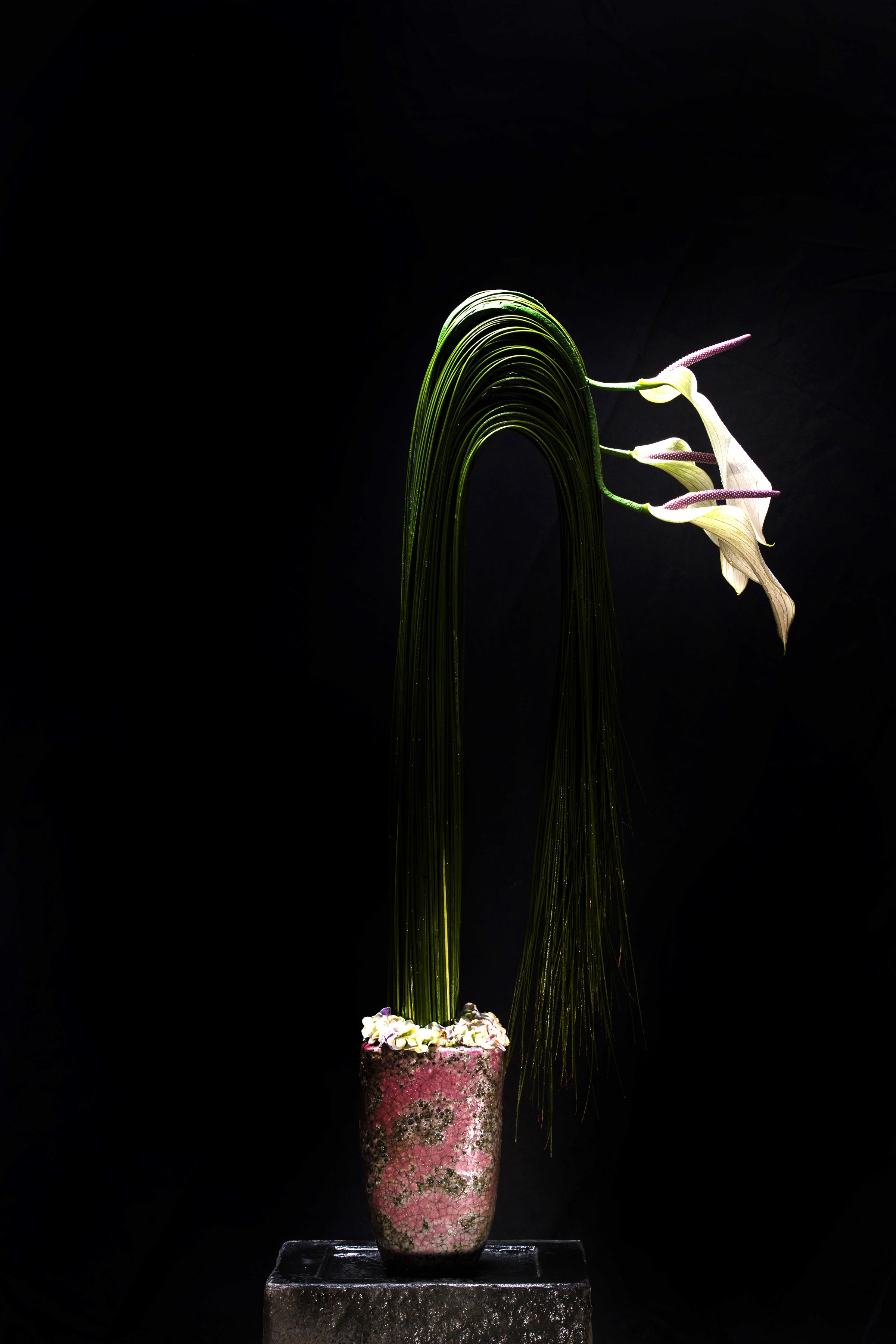 The Architecture of Flowers