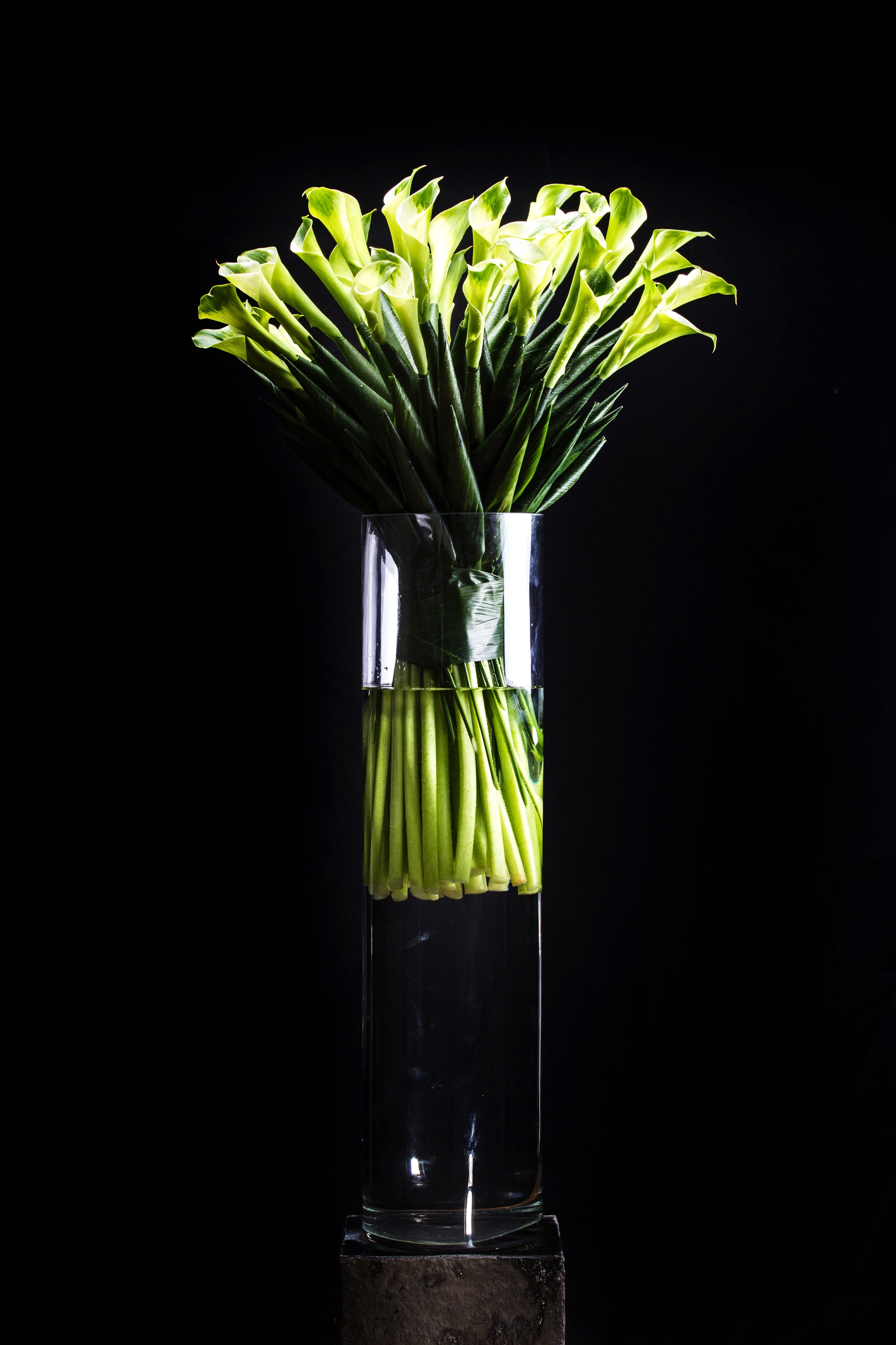 The Architecture of Flowers
