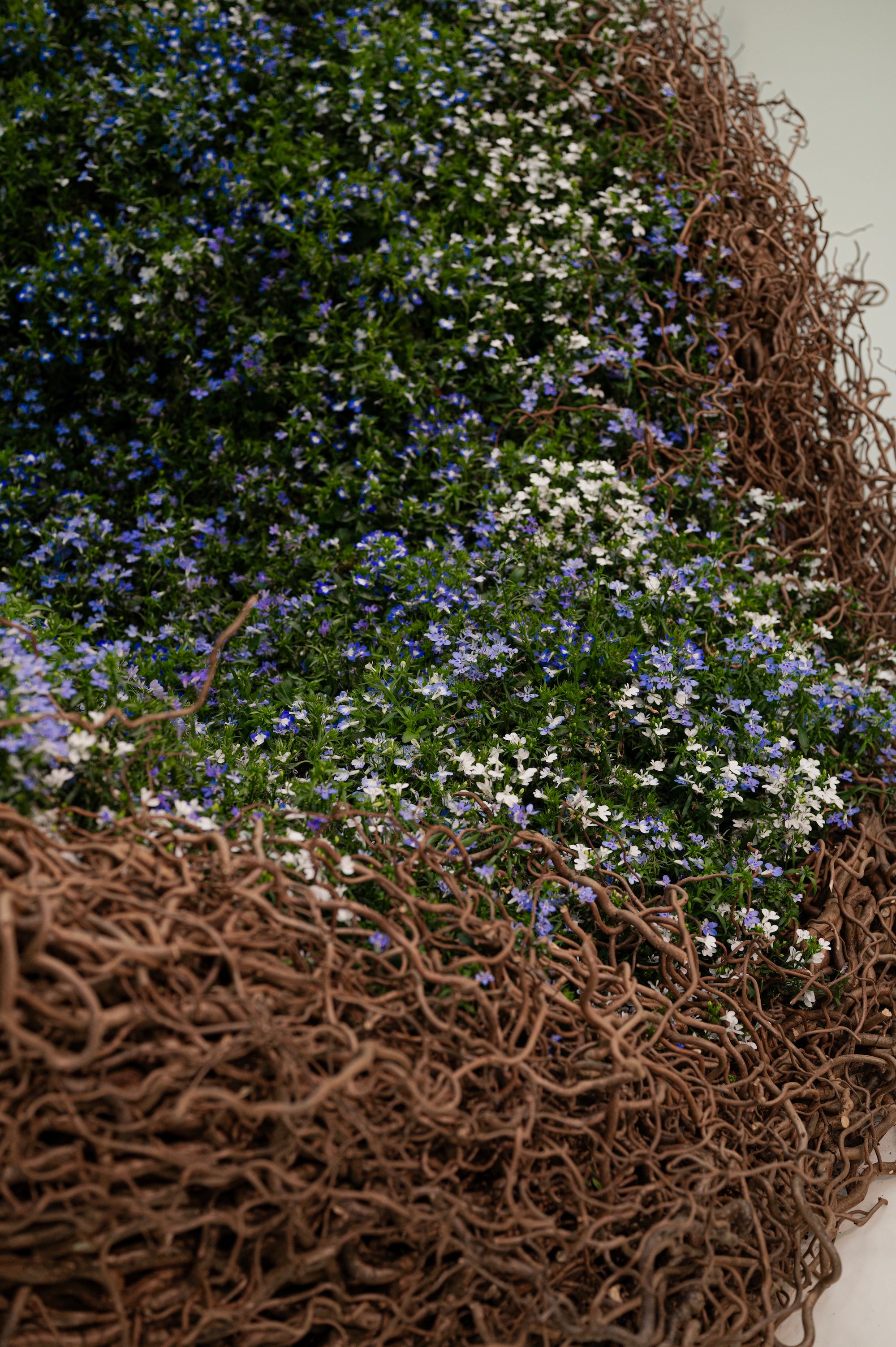 A Living Dialogue in Blue