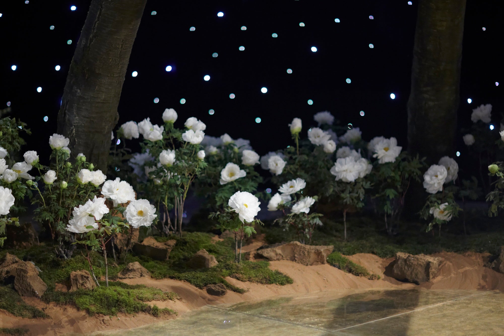 A Royal Garden Among the Stars