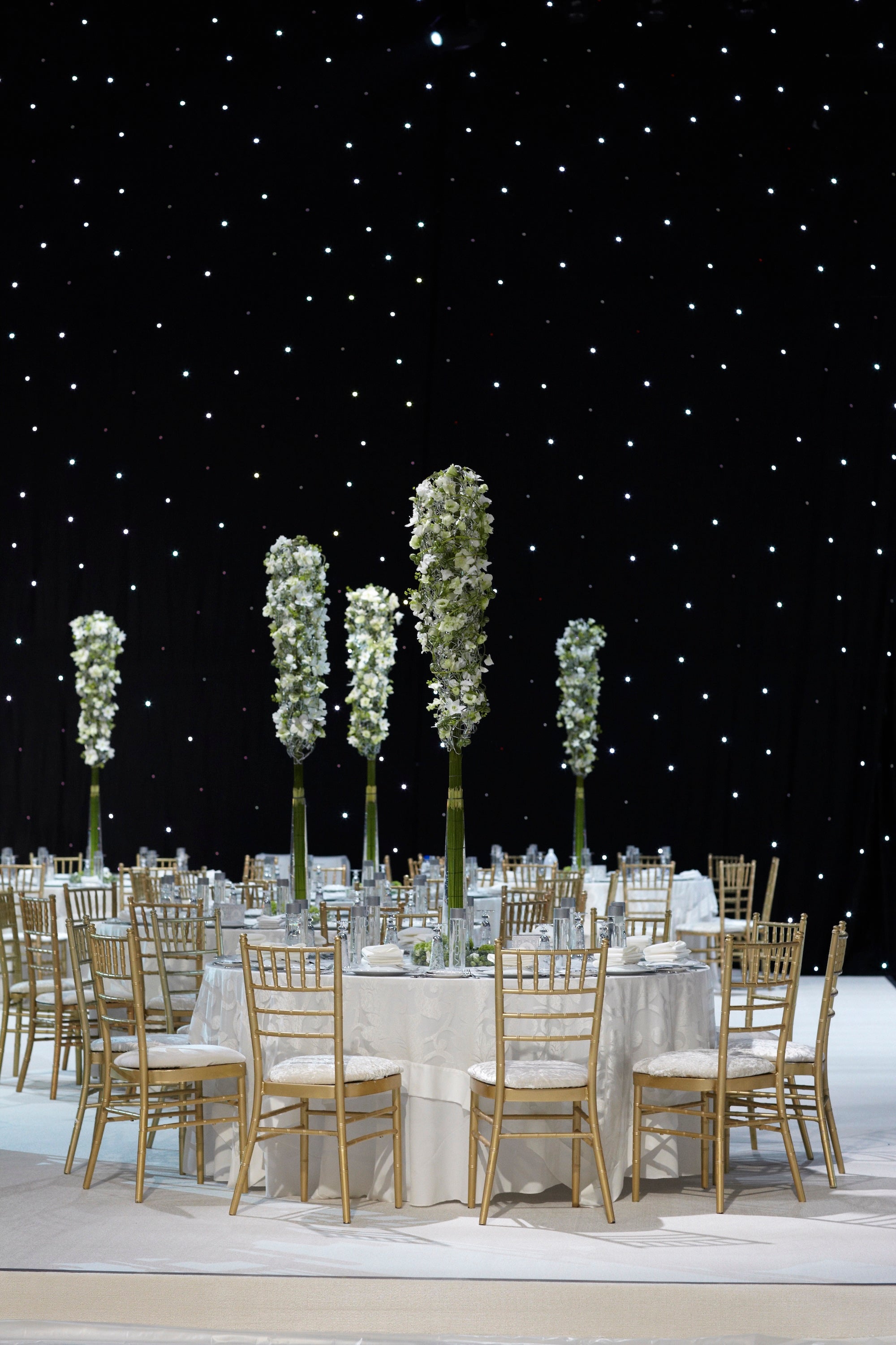 A Royal Garden Among the Stars