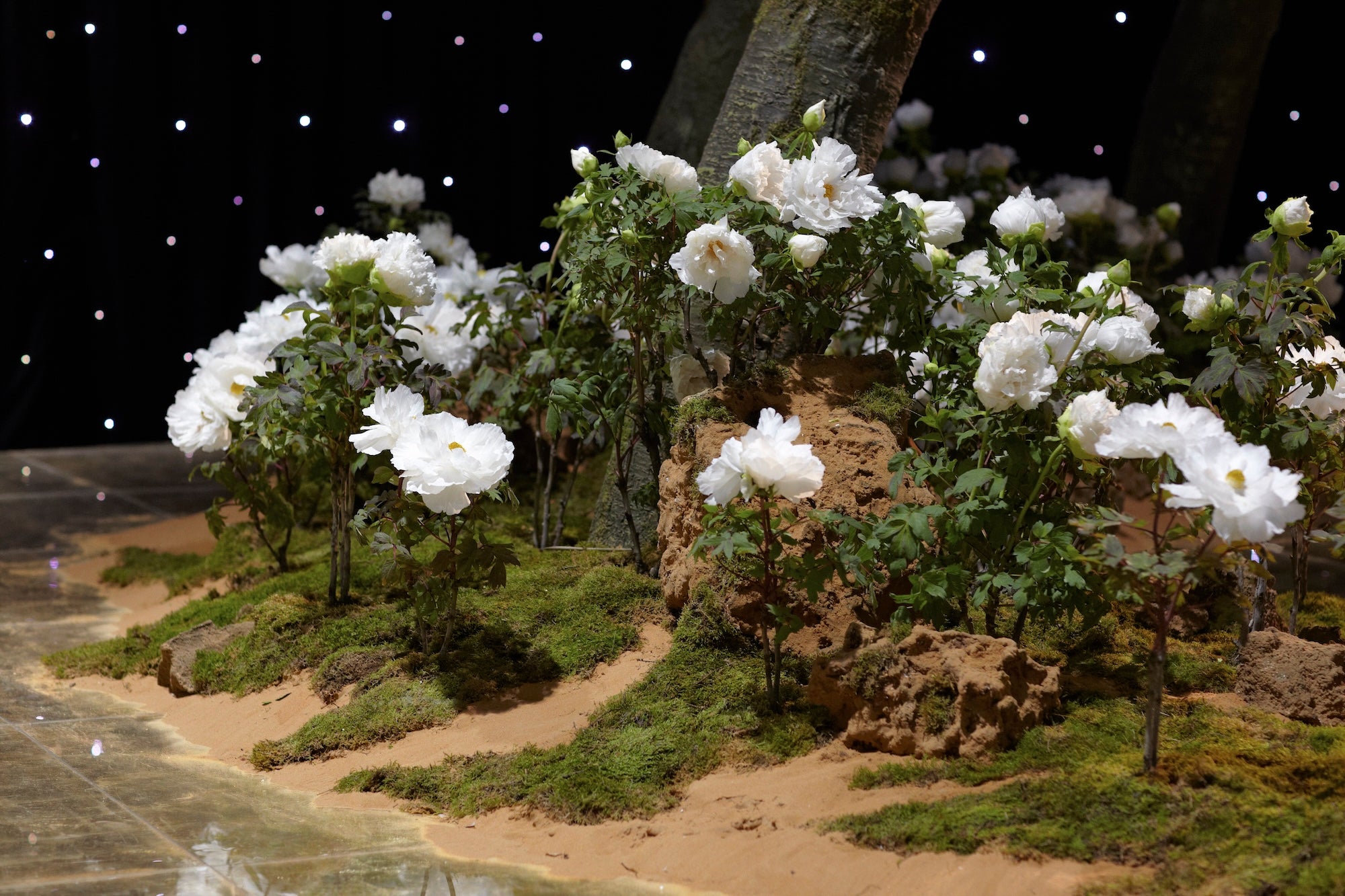 A Royal Garden Among the Stars