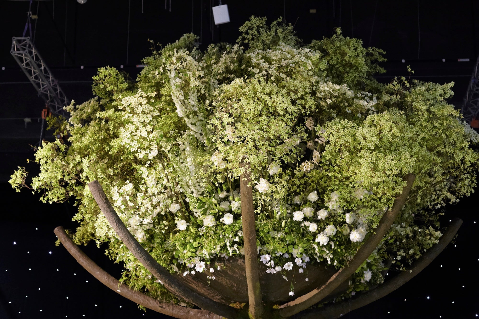 A Royal Garden Among the Stars