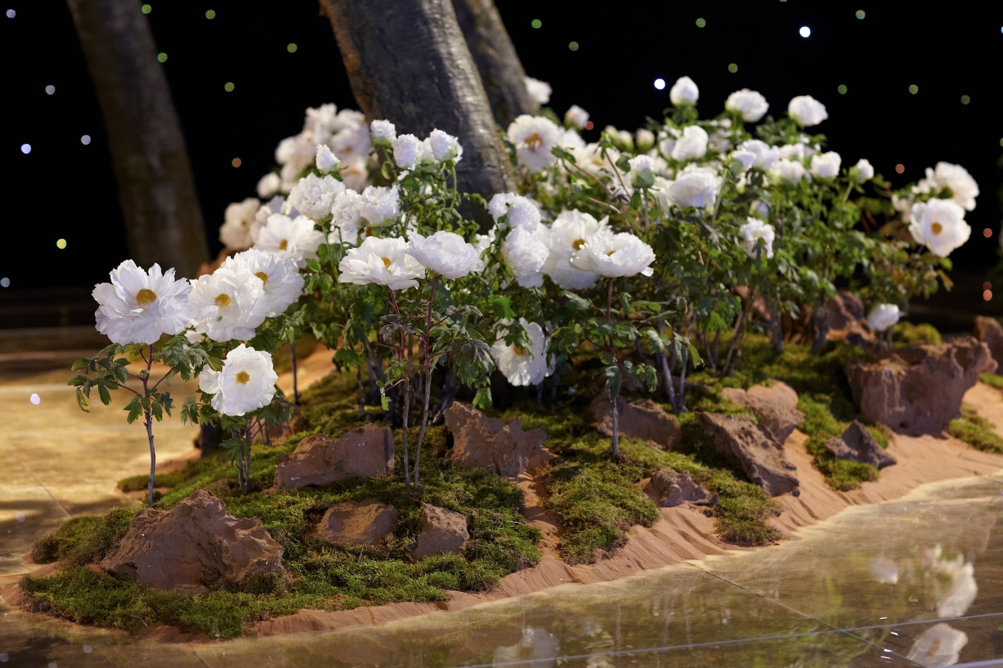 A Royal Garden Among the Stars