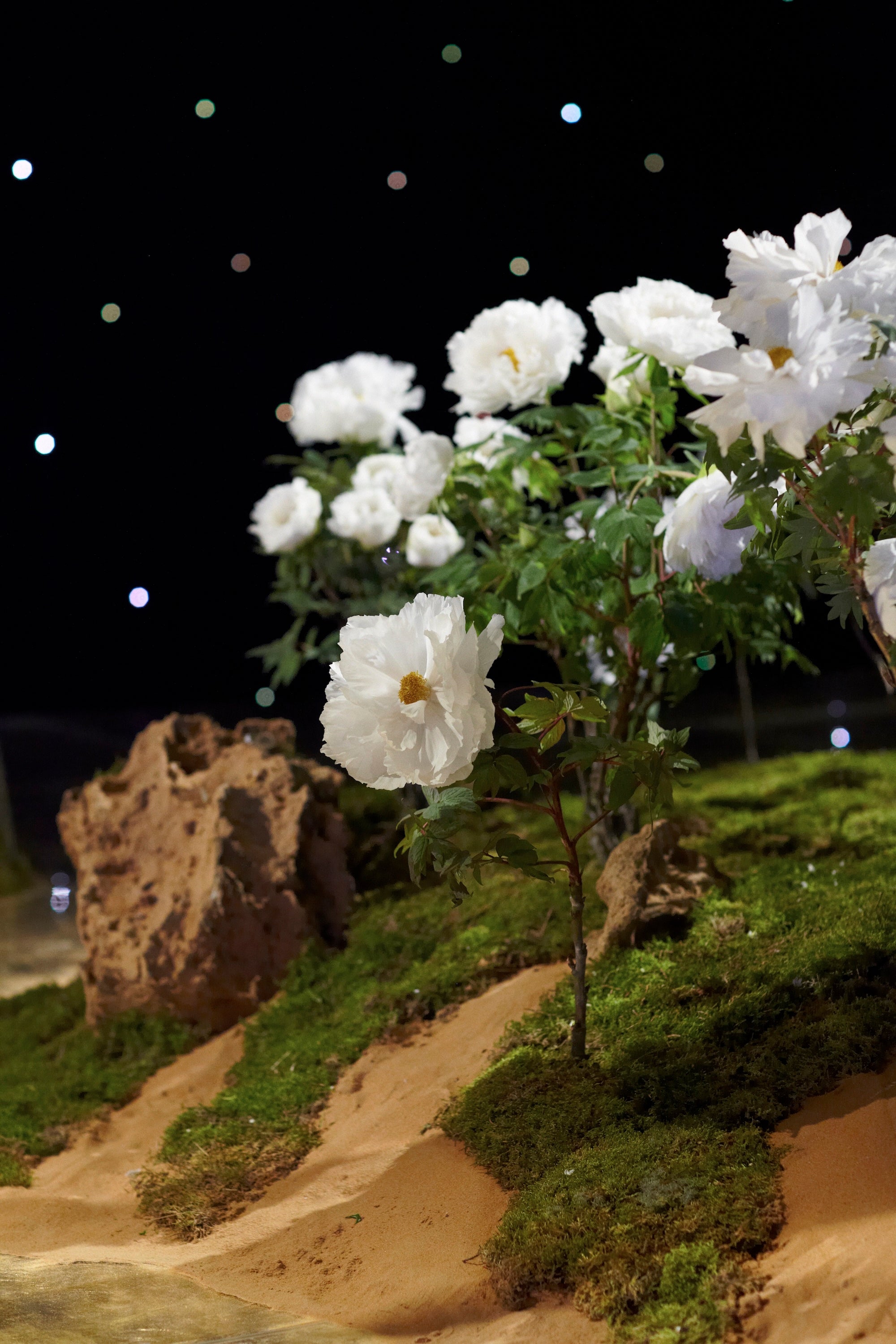 A Royal Garden Among the Stars