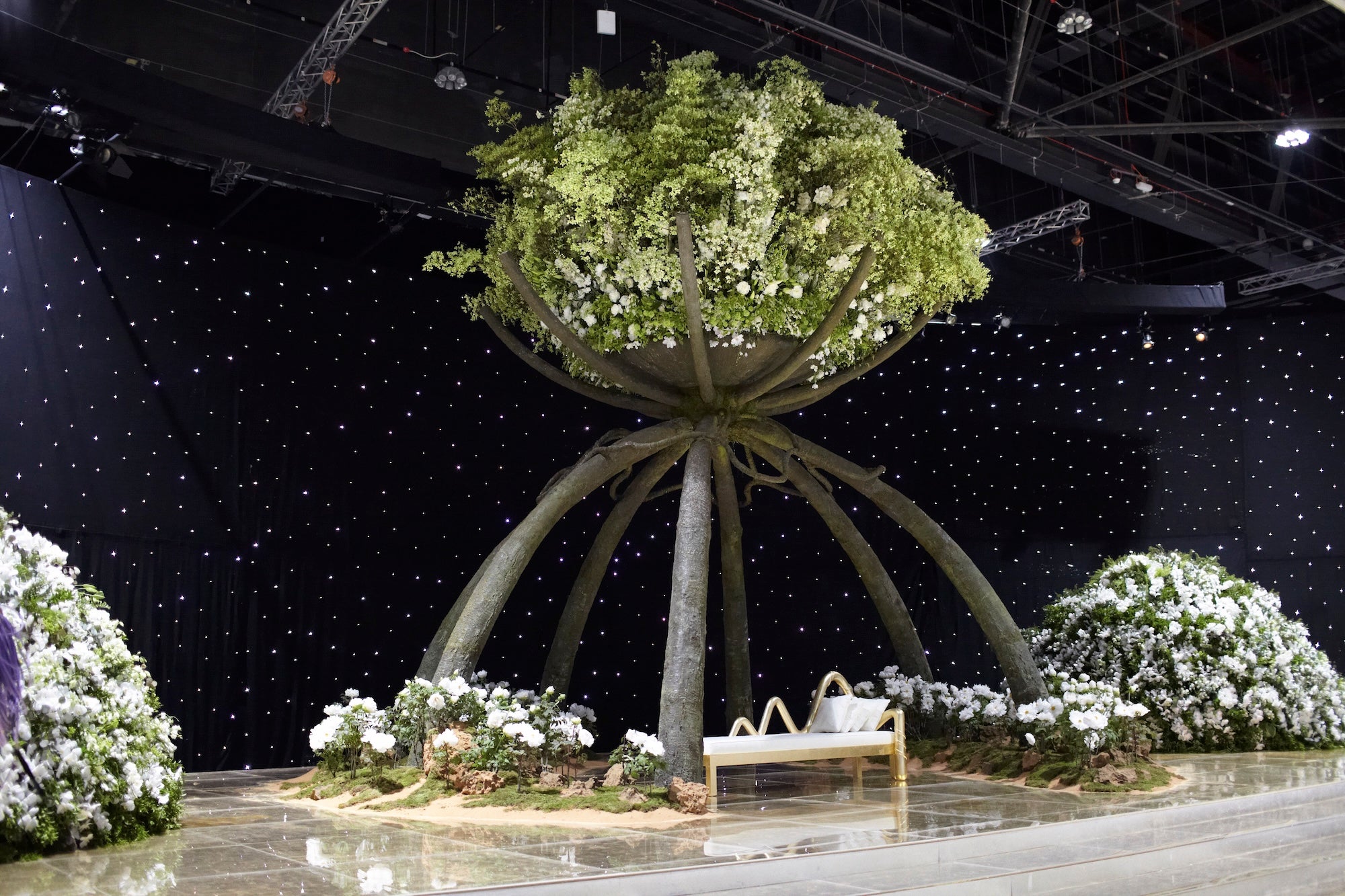 A Royal Garden Among the Stars
