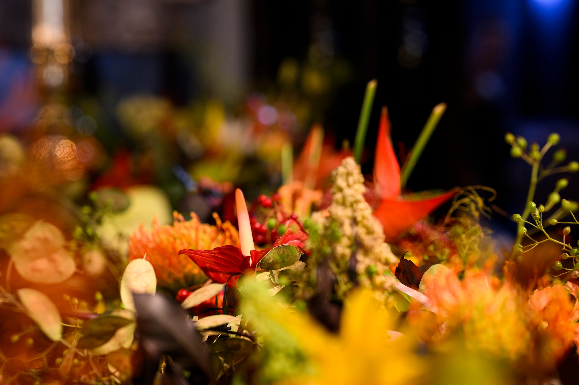 Crowned in Flowers