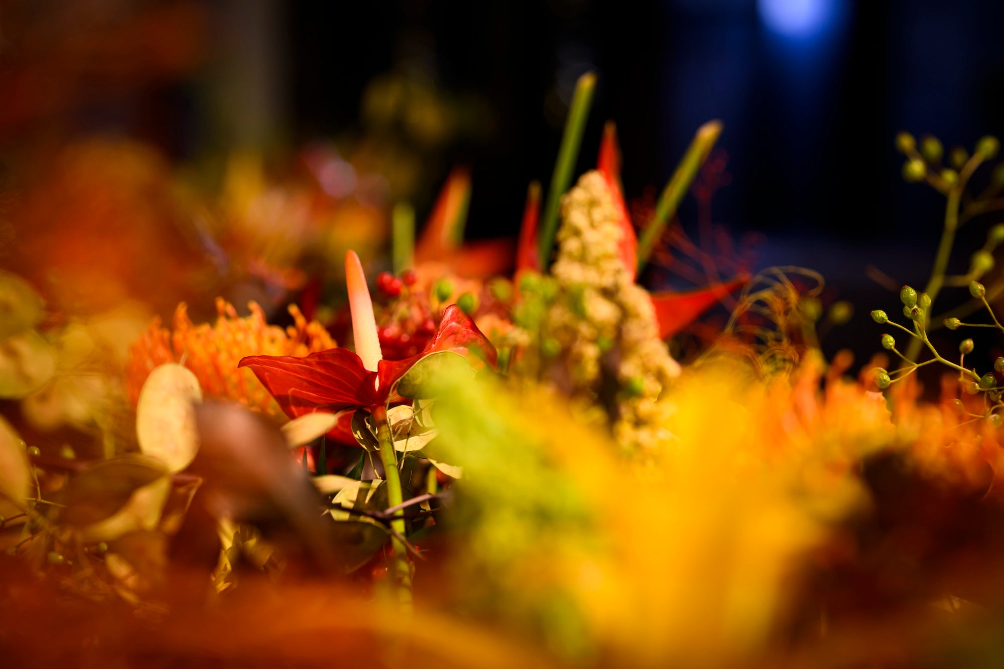 Crowned in Flowers