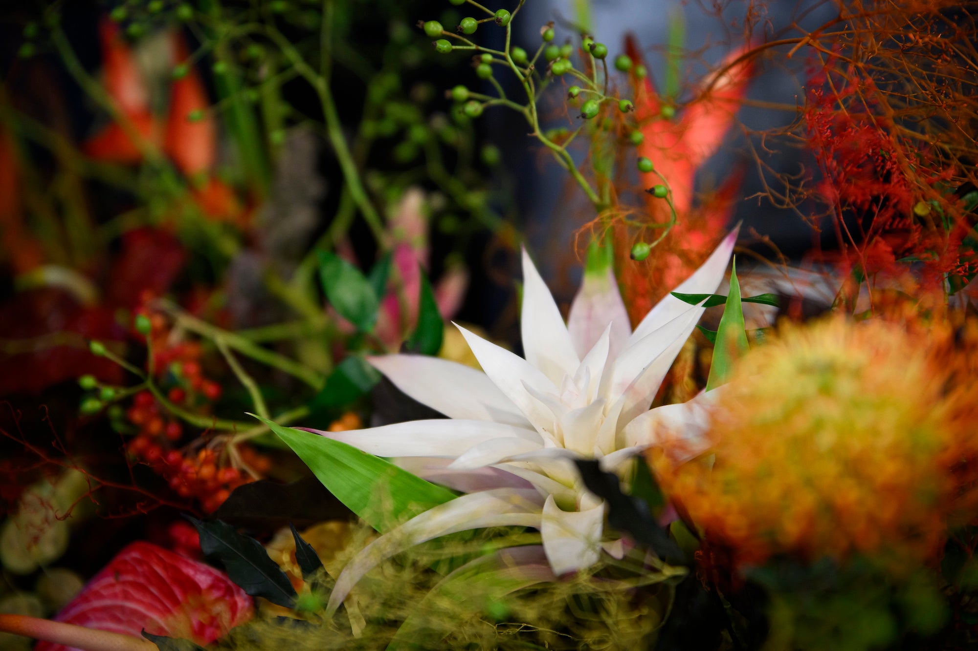 Crowned in Flowers