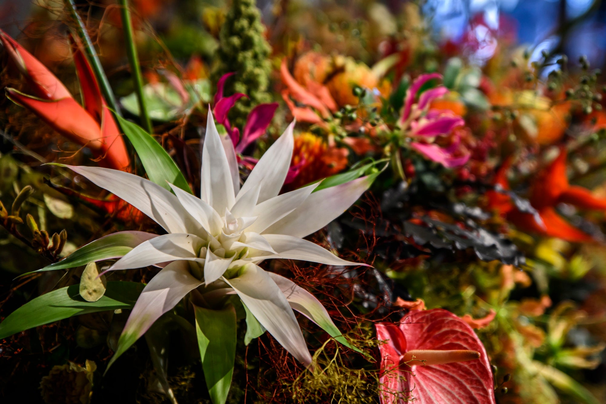 Crowned in Flowers