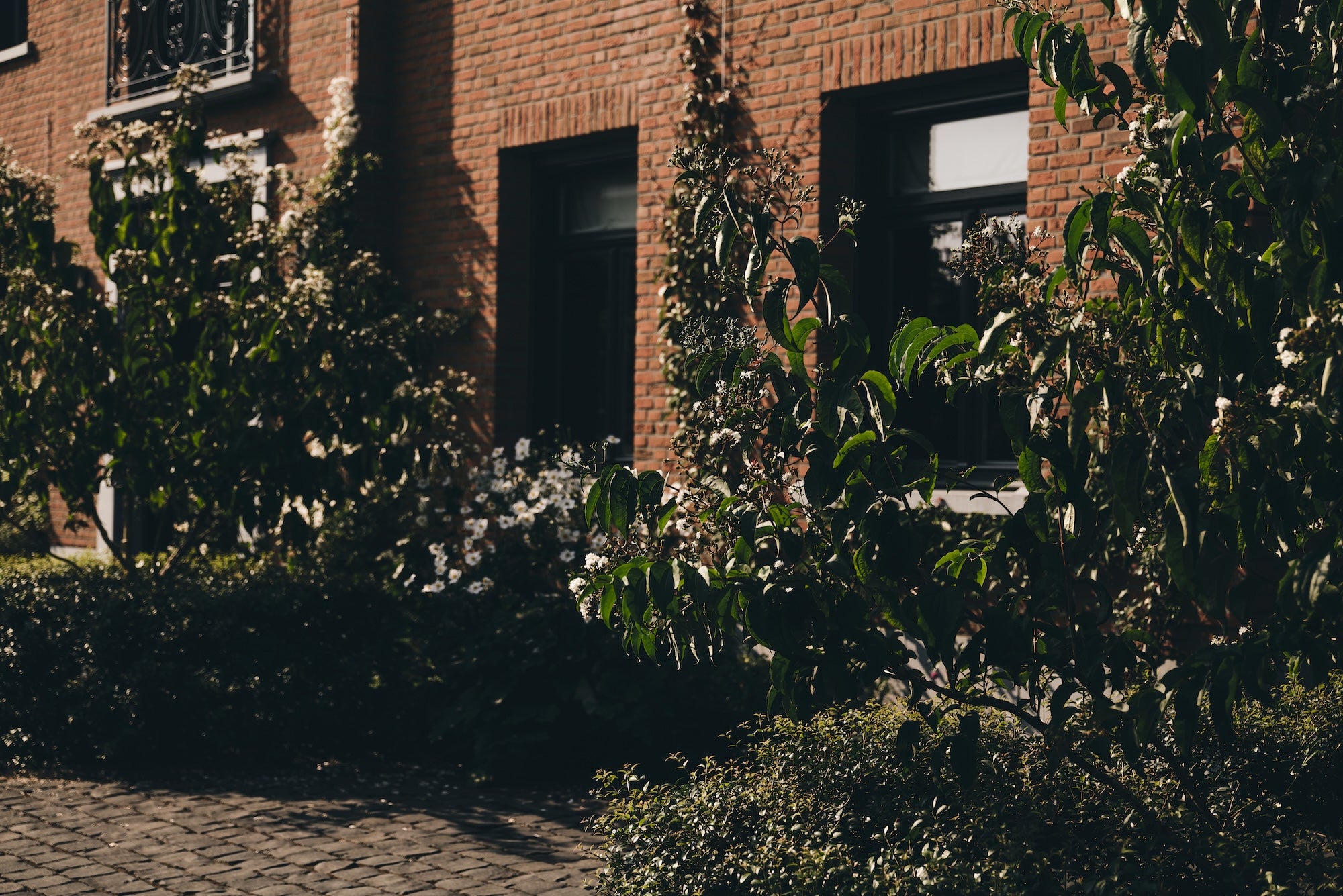 The Untamed Garden