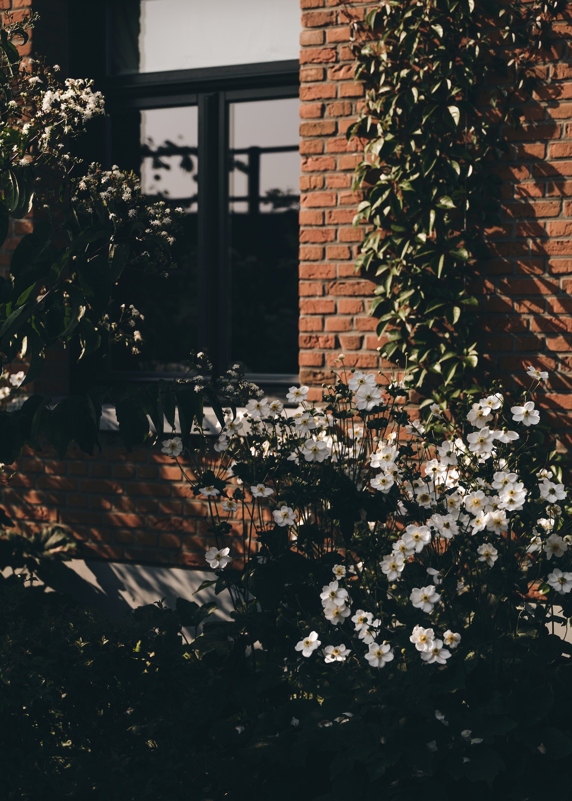 The Untamed Garden
