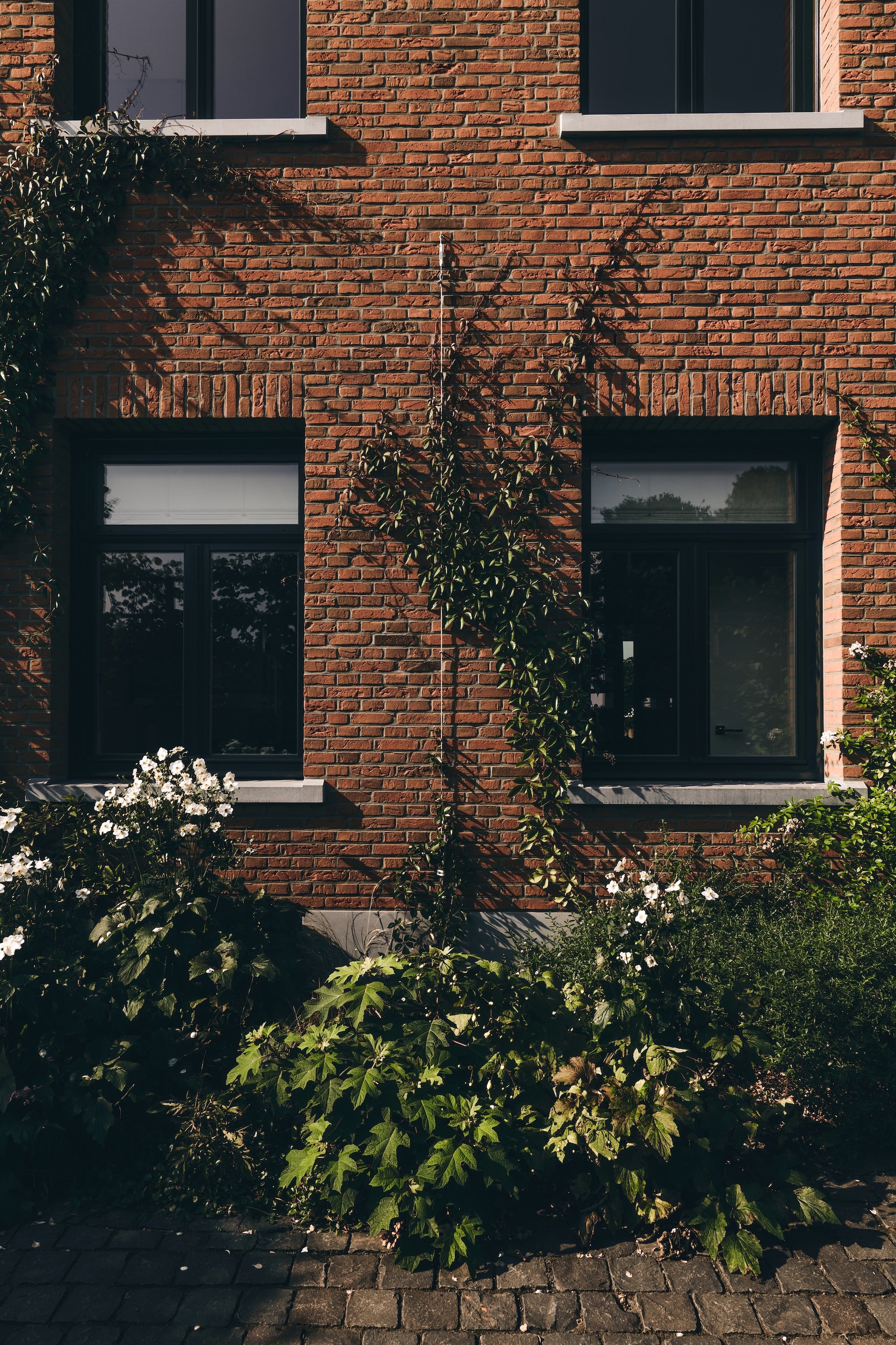 The Untamed Garden