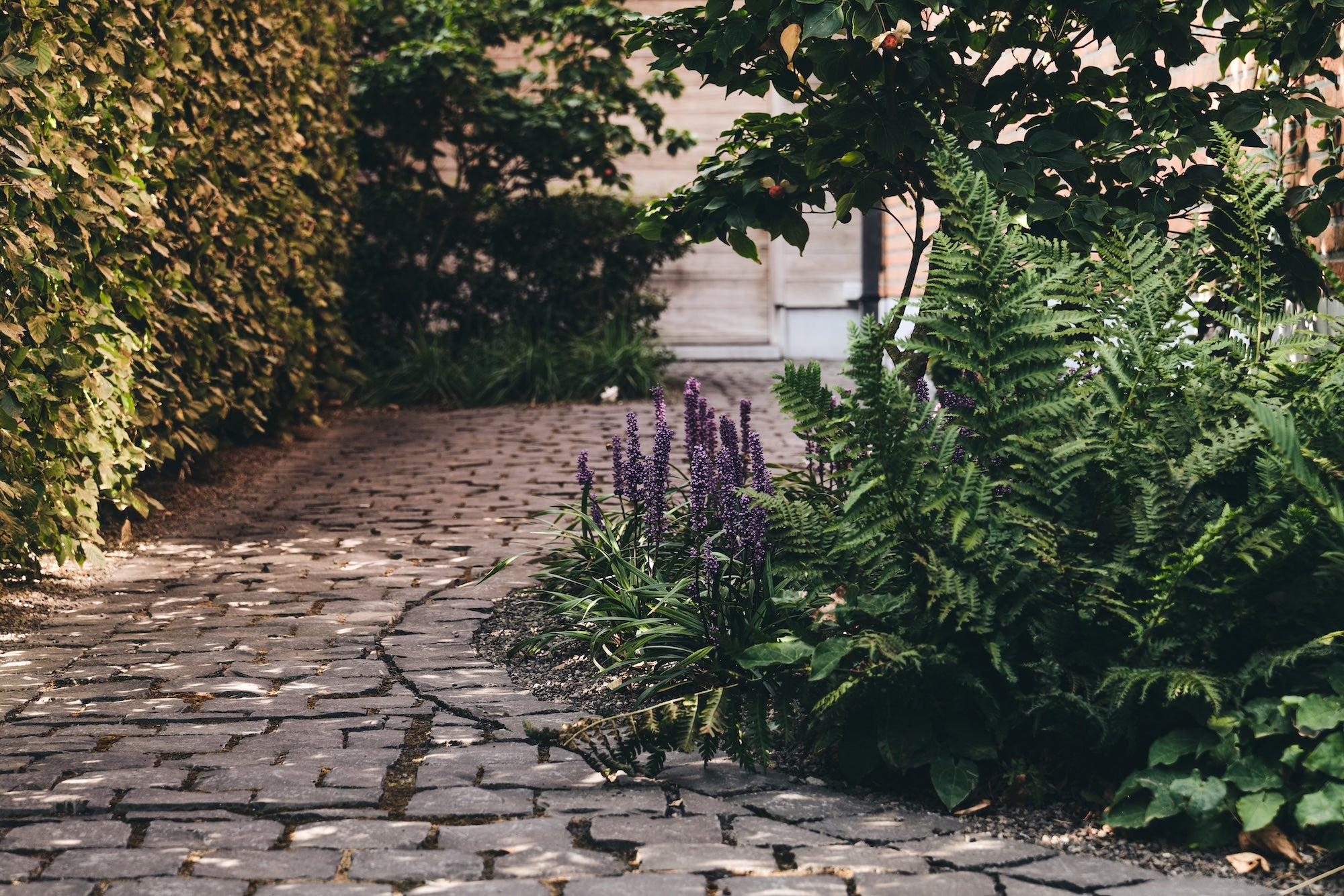 The Untamed Garden