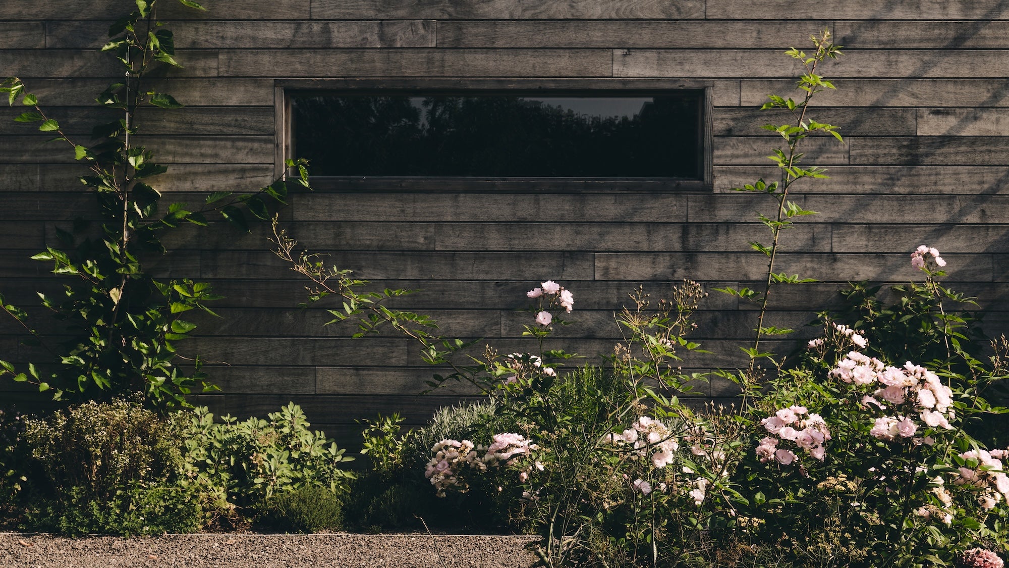 The Untamed Garden