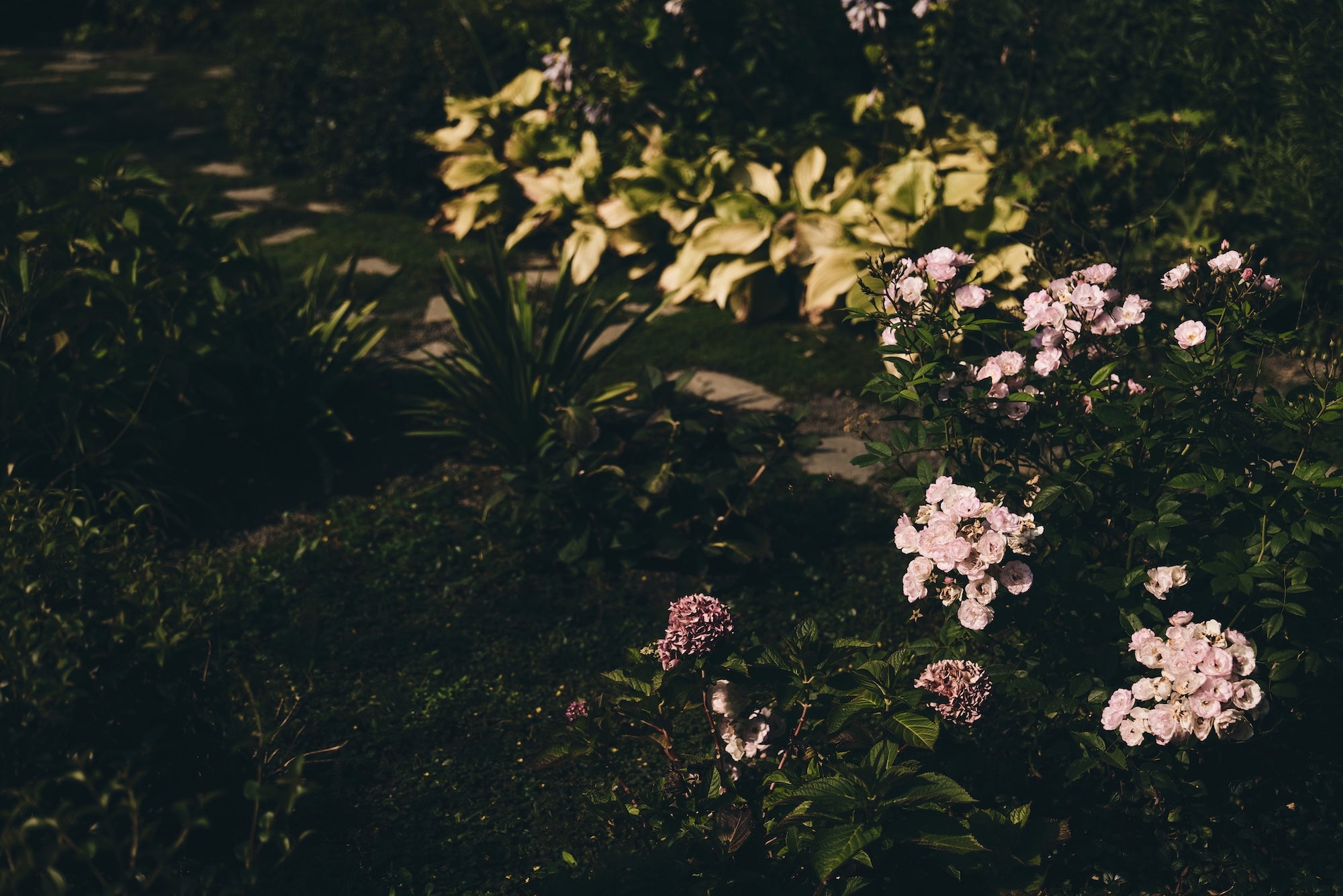 The Untamed Garden