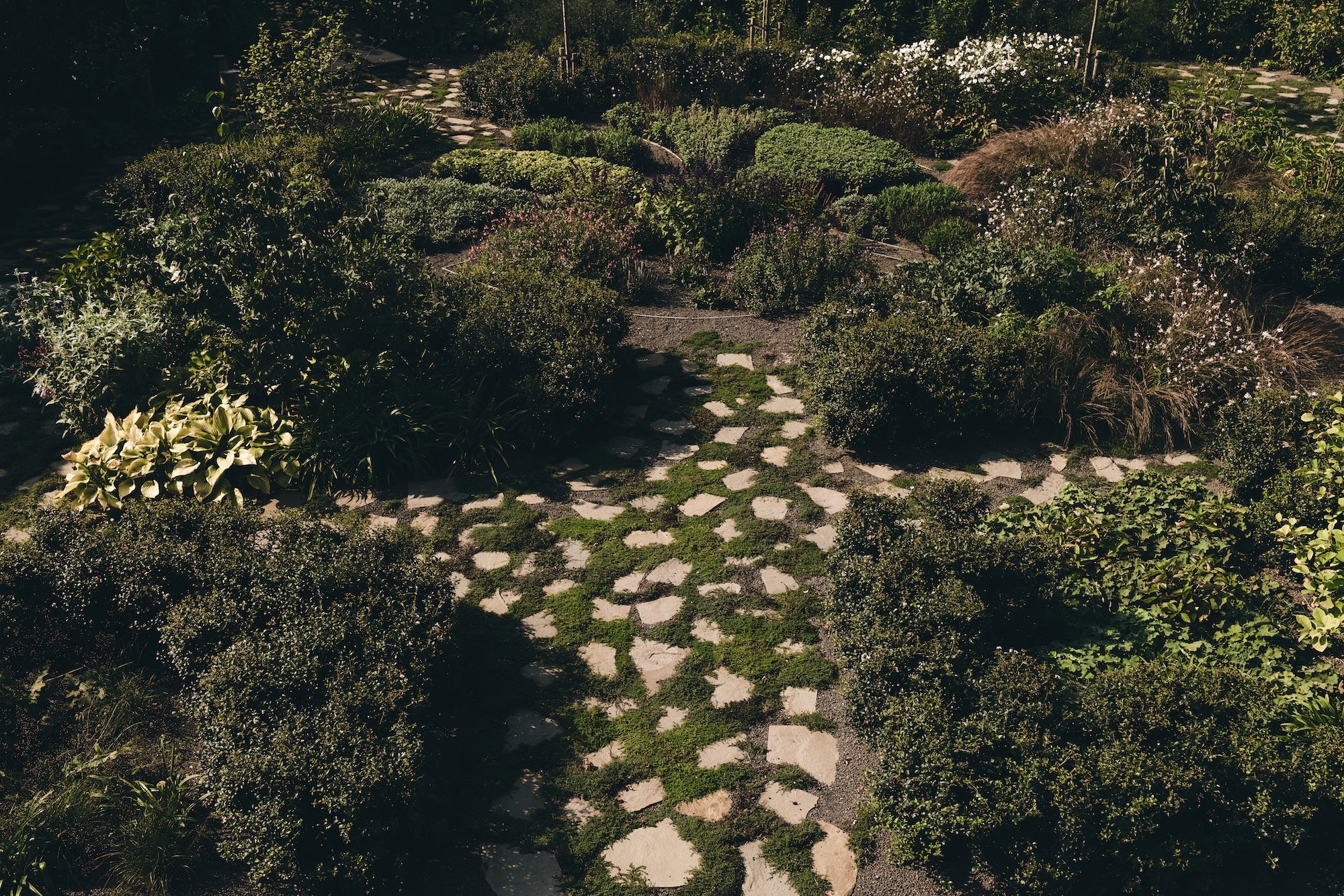 The Untamed Garden