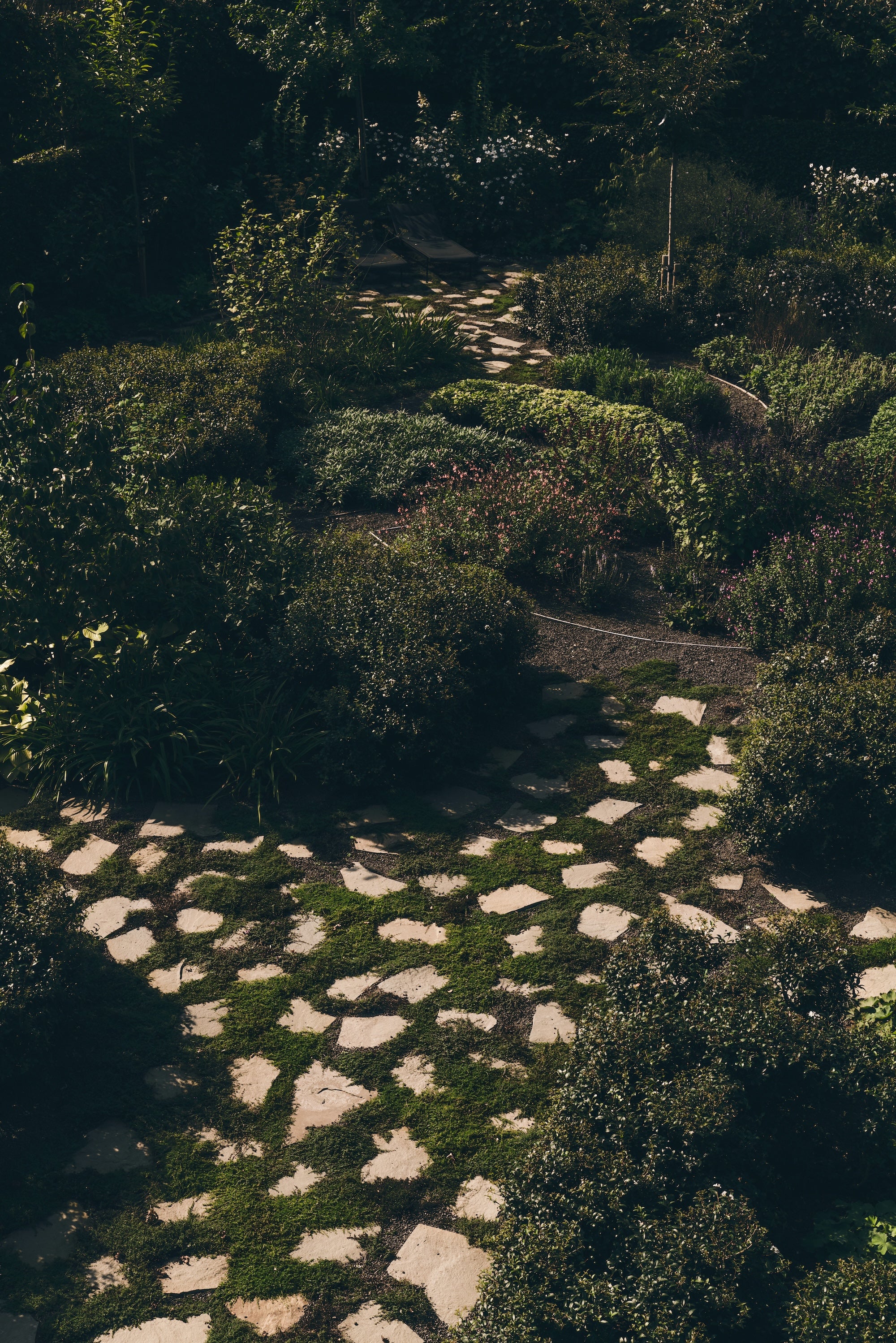 The Untamed Garden