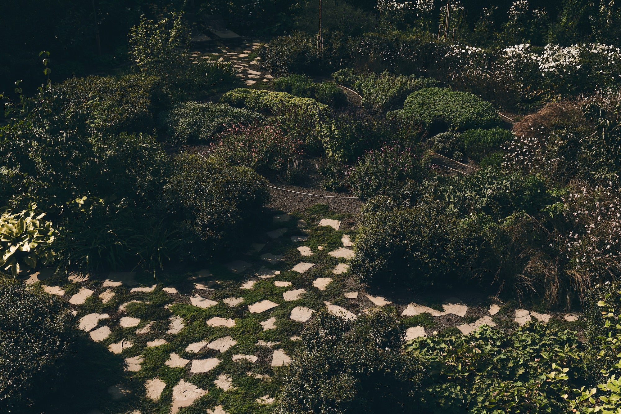 The Untamed Garden