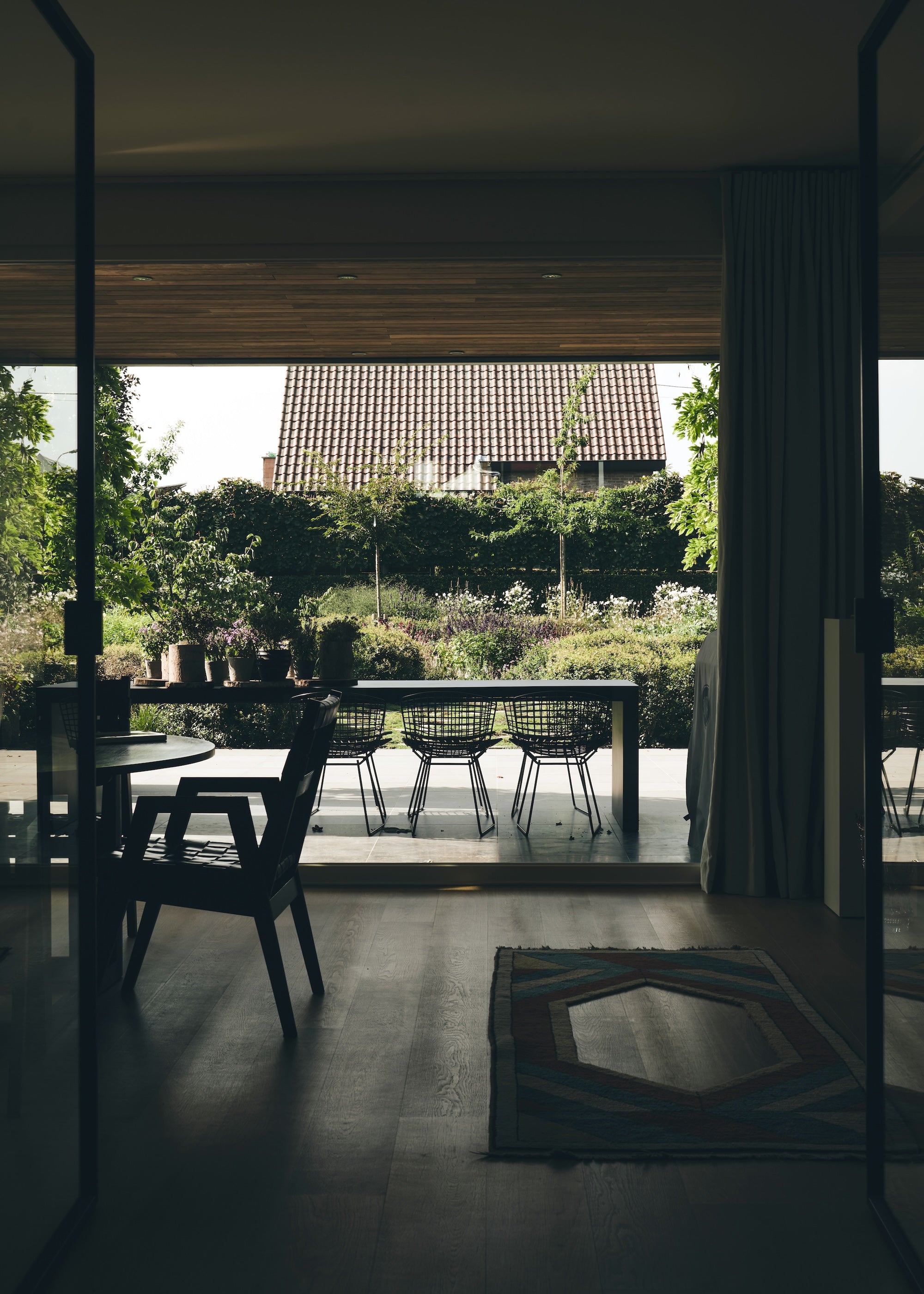 The Untamed Garden