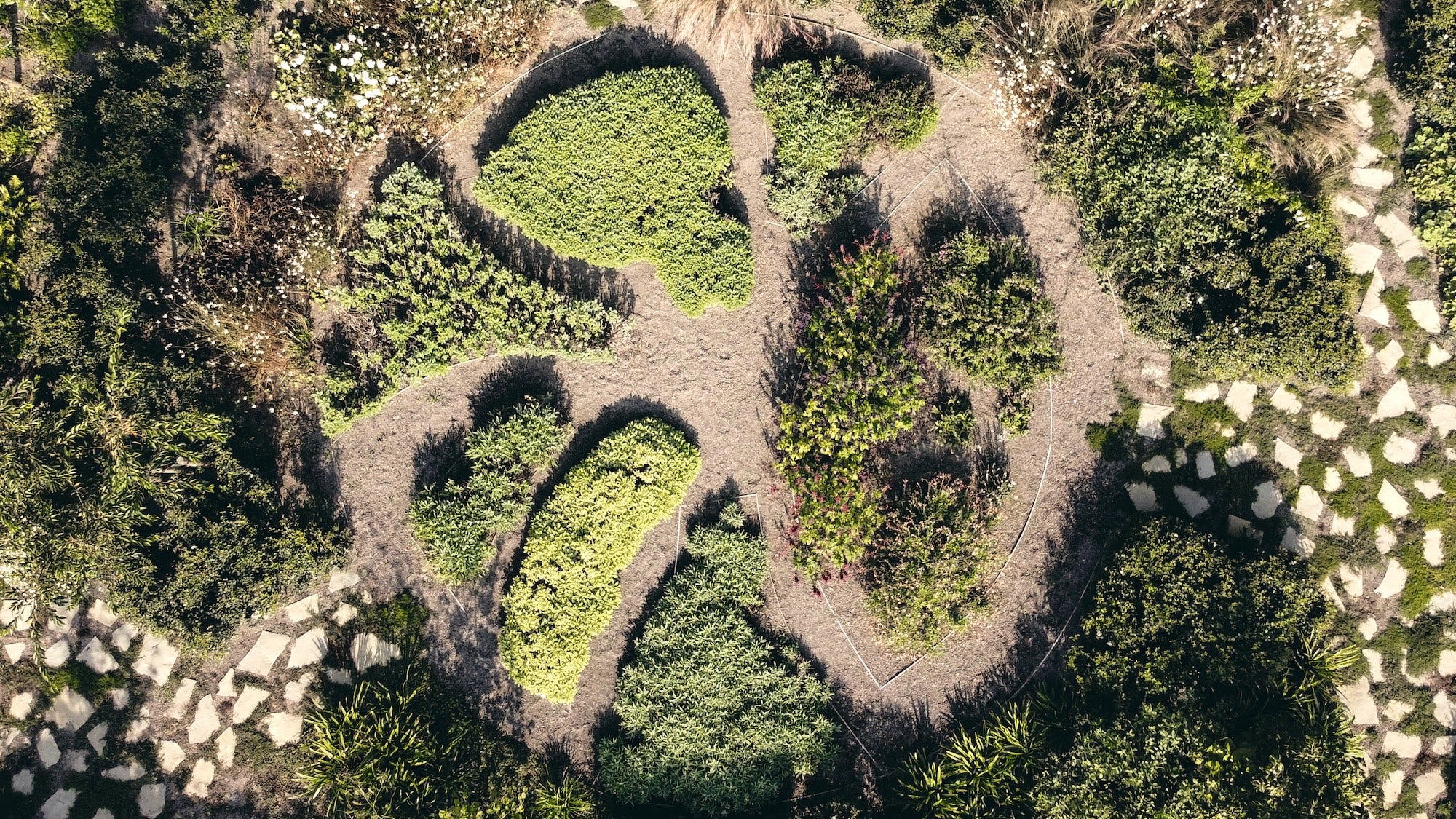 The Untamed Garden