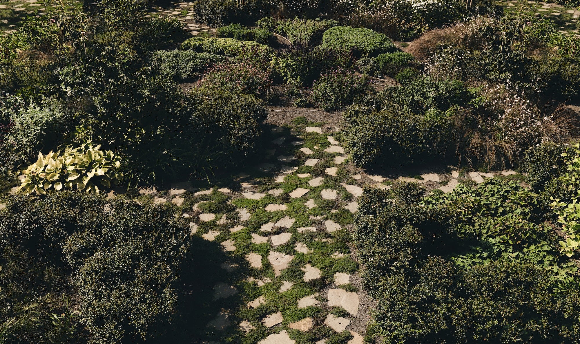 The Untamed Garden