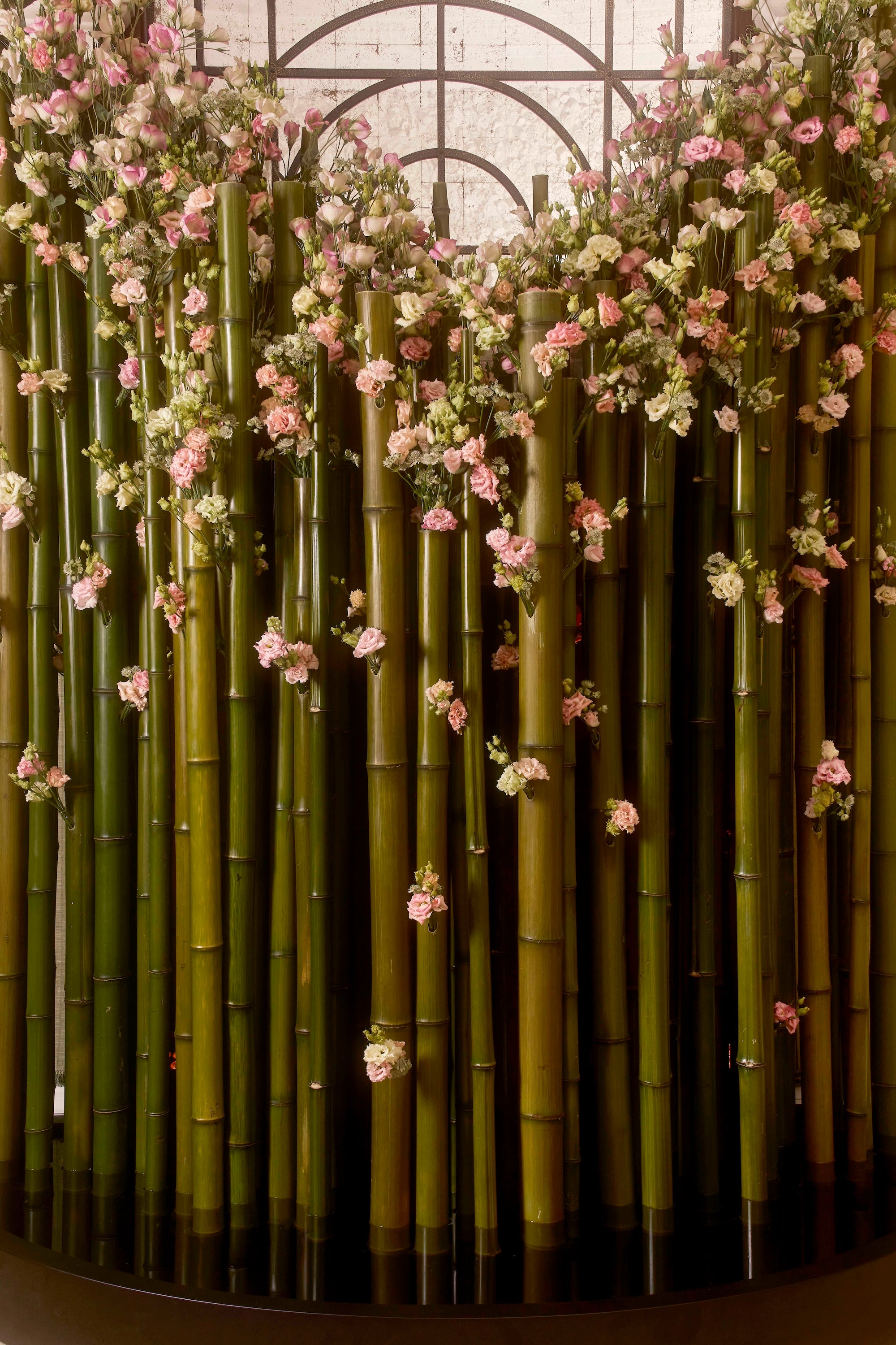 Reflection in Bloom