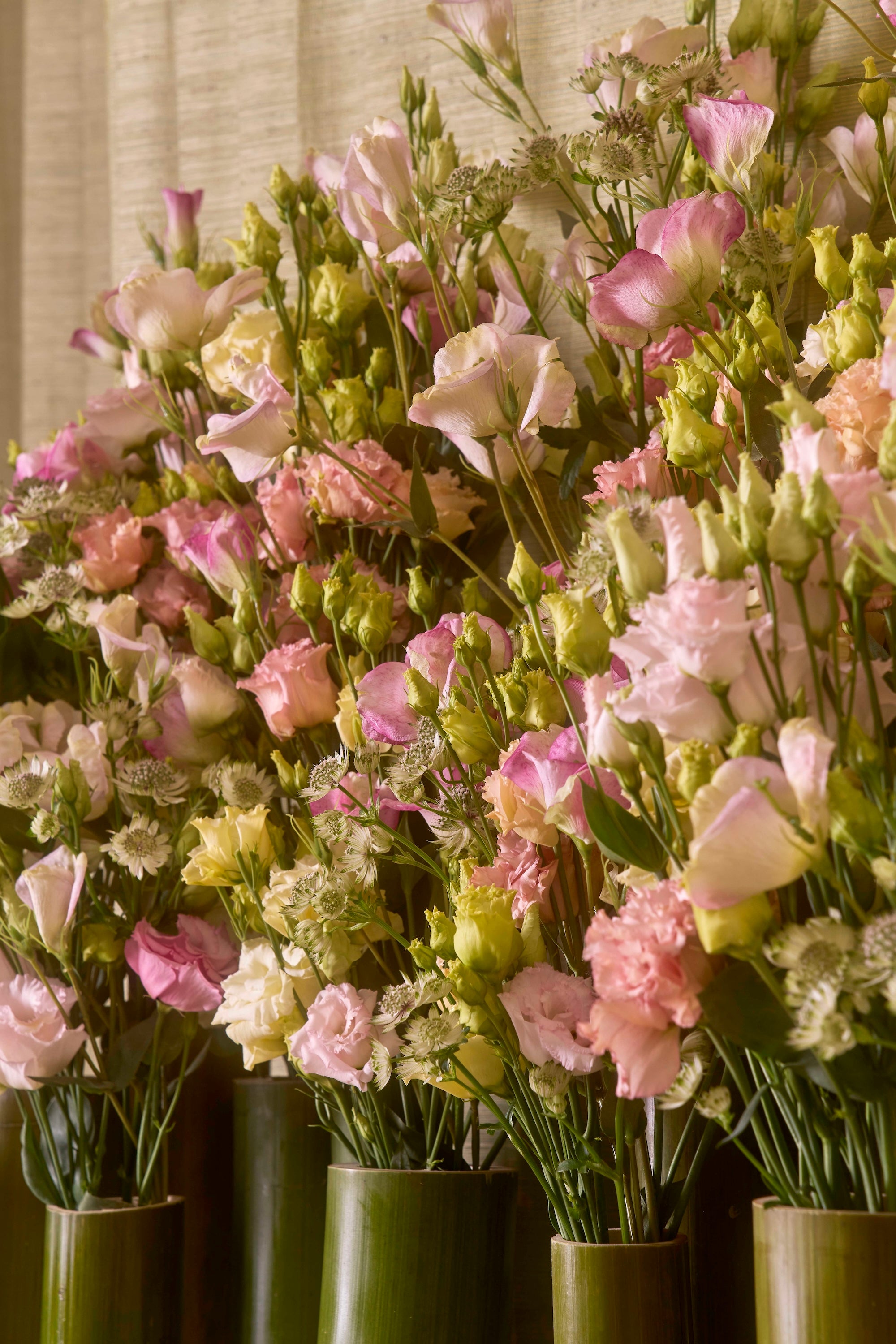 Reflection in Bloom