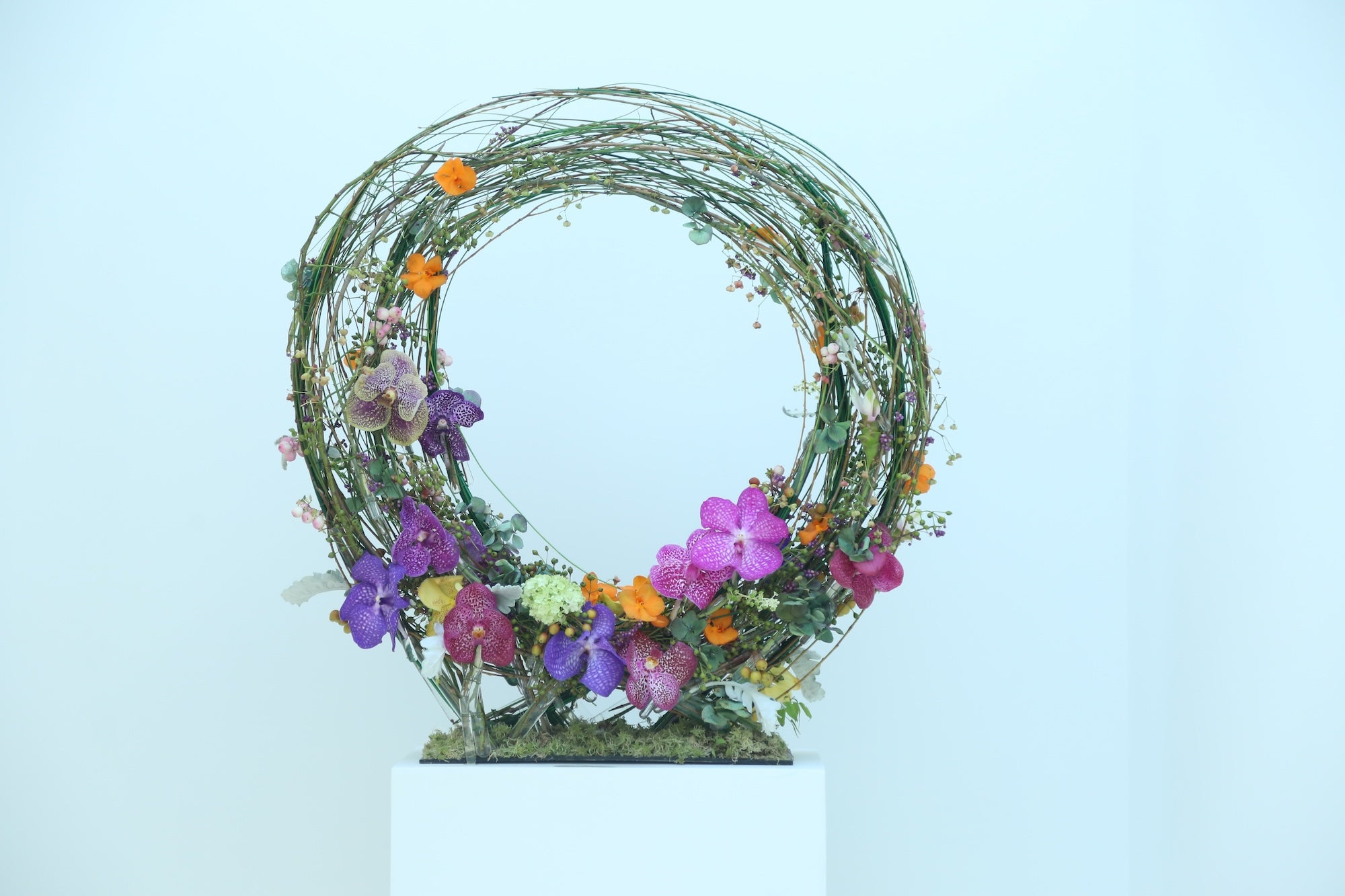 A Spectrum in Bloom